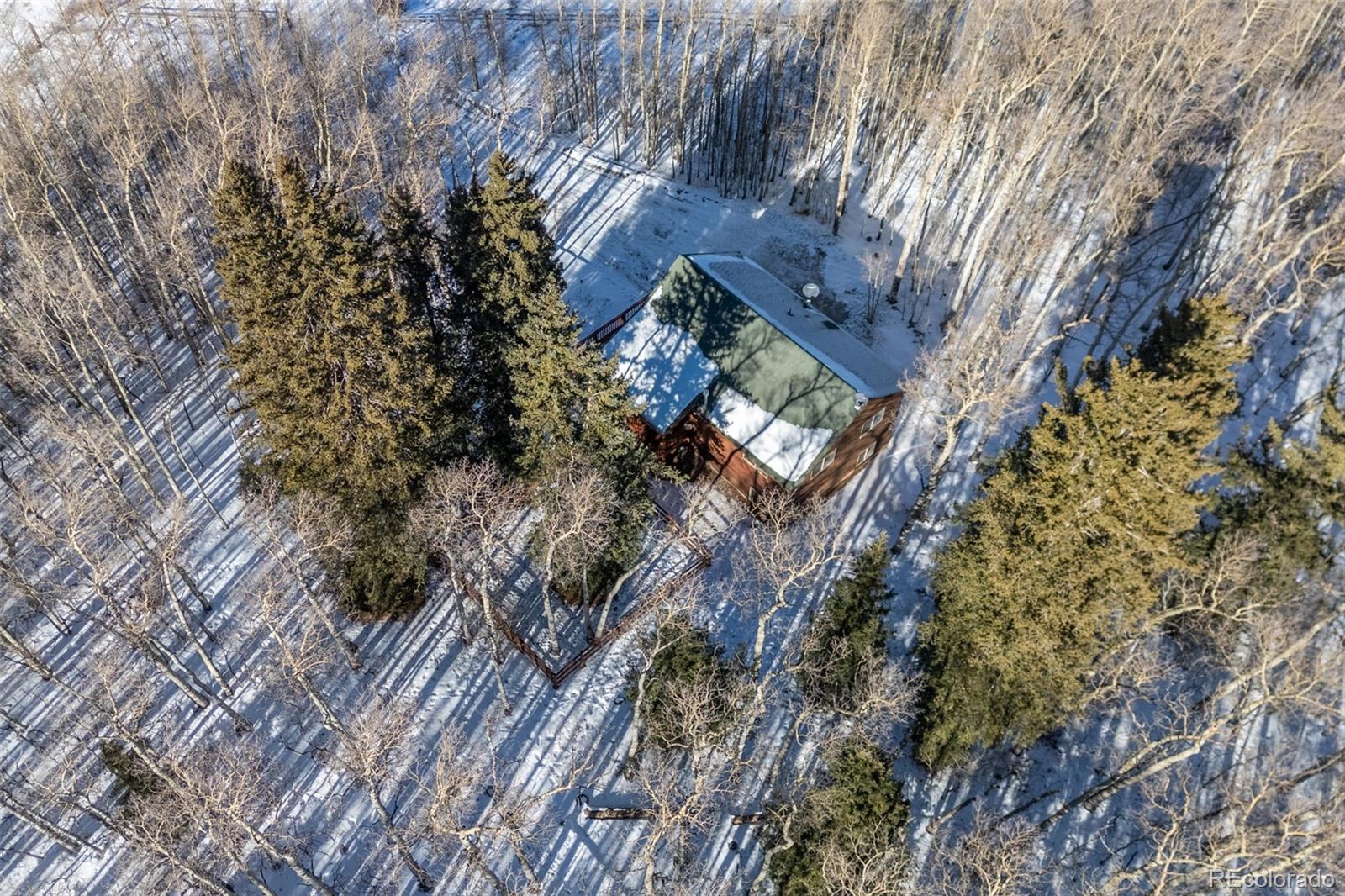 1333 High Creek Road, Fairplay, CO 80440, 3 Bedrooms Bedrooms, ,2 BathroomsBathrooms,Residential,For Sale,High Creek,REC6138563