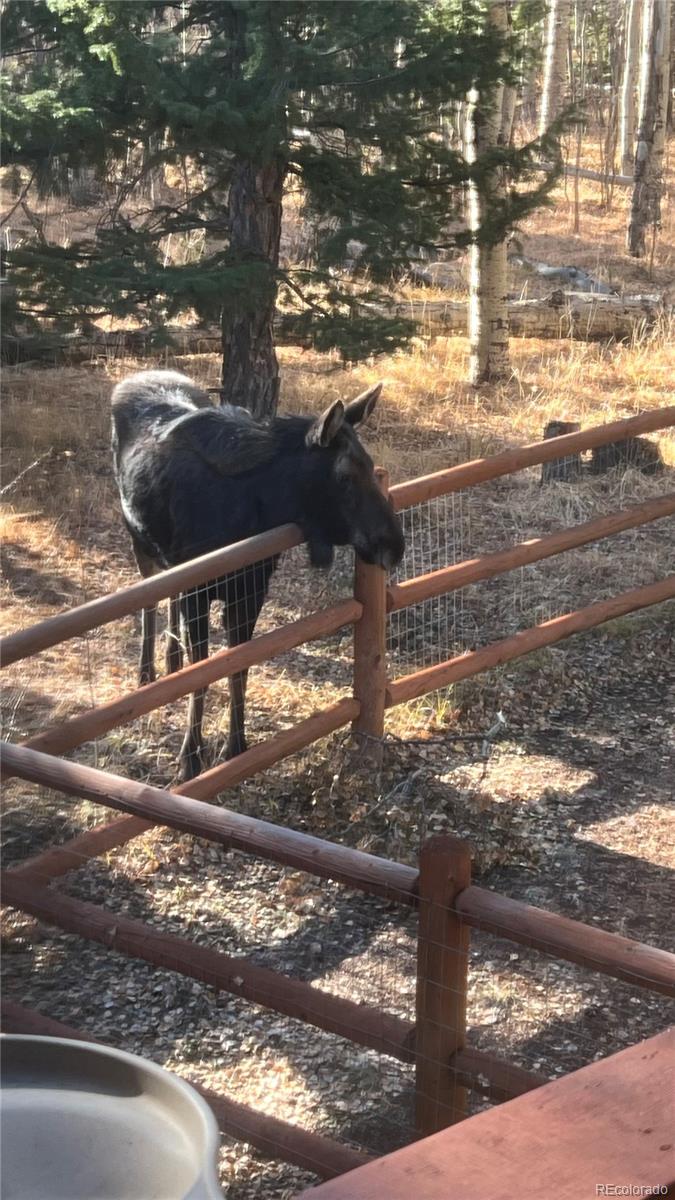 1333 High Creek Road, Fairplay, CO 80440, 3 Bedrooms Bedrooms, ,2 BathroomsBathrooms,Residential,For Sale,High Creek,REC6138563