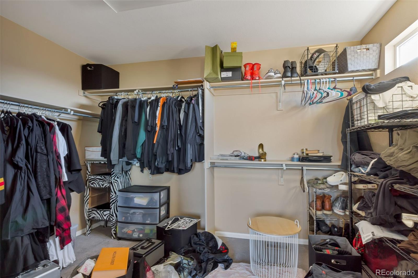 7585 121st Place, Thornton, CO 80602, 4 Bedrooms Bedrooms, ,4 BathroomsBathrooms,Residential,For Sale,121st,REC3704512