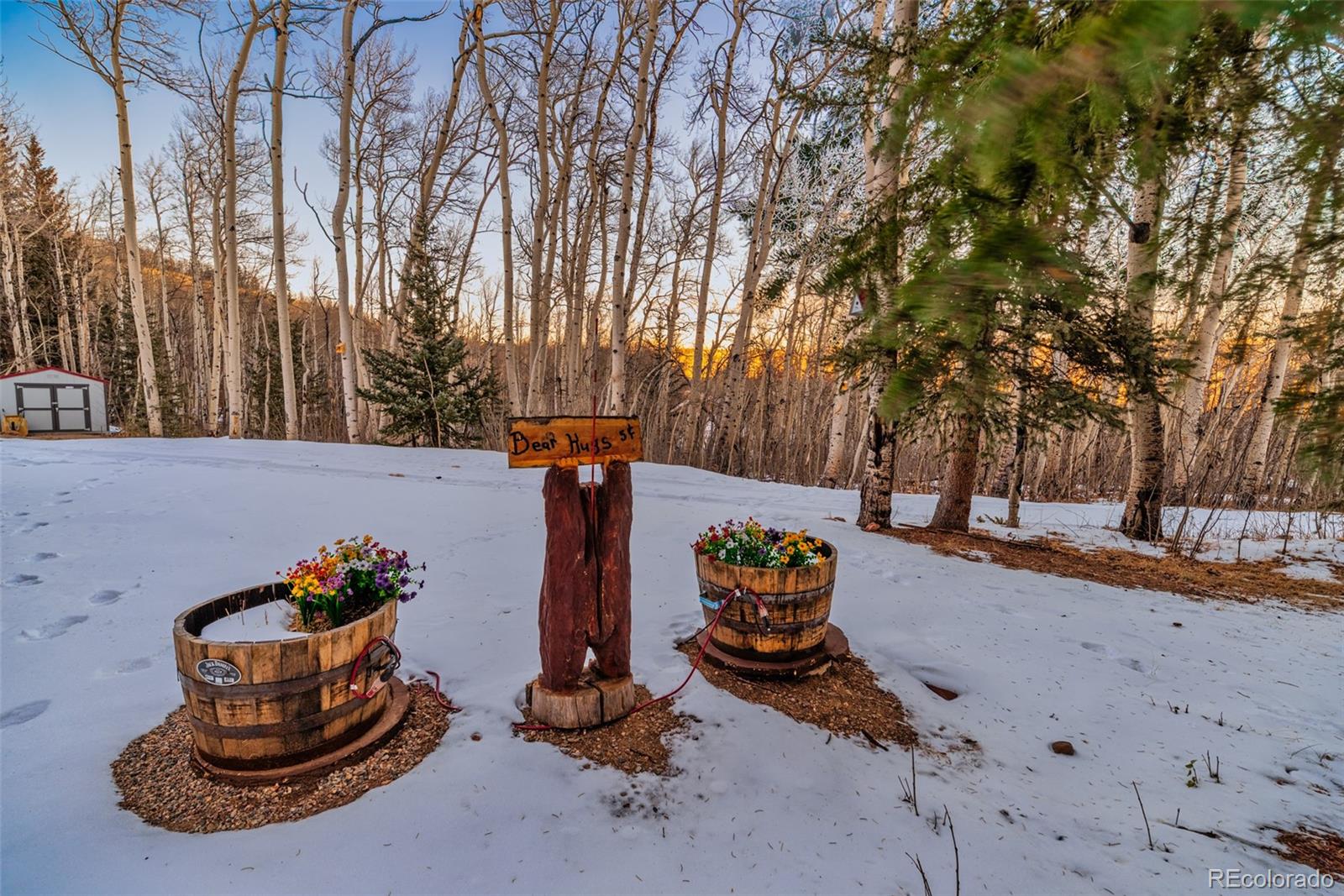 2150 Michigan Hill Road, Jefferson, CO 80456, 3 Bedrooms Bedrooms, ,2 BathroomsBathrooms,Residential,For Sale,Michigan Hill,REC3198443