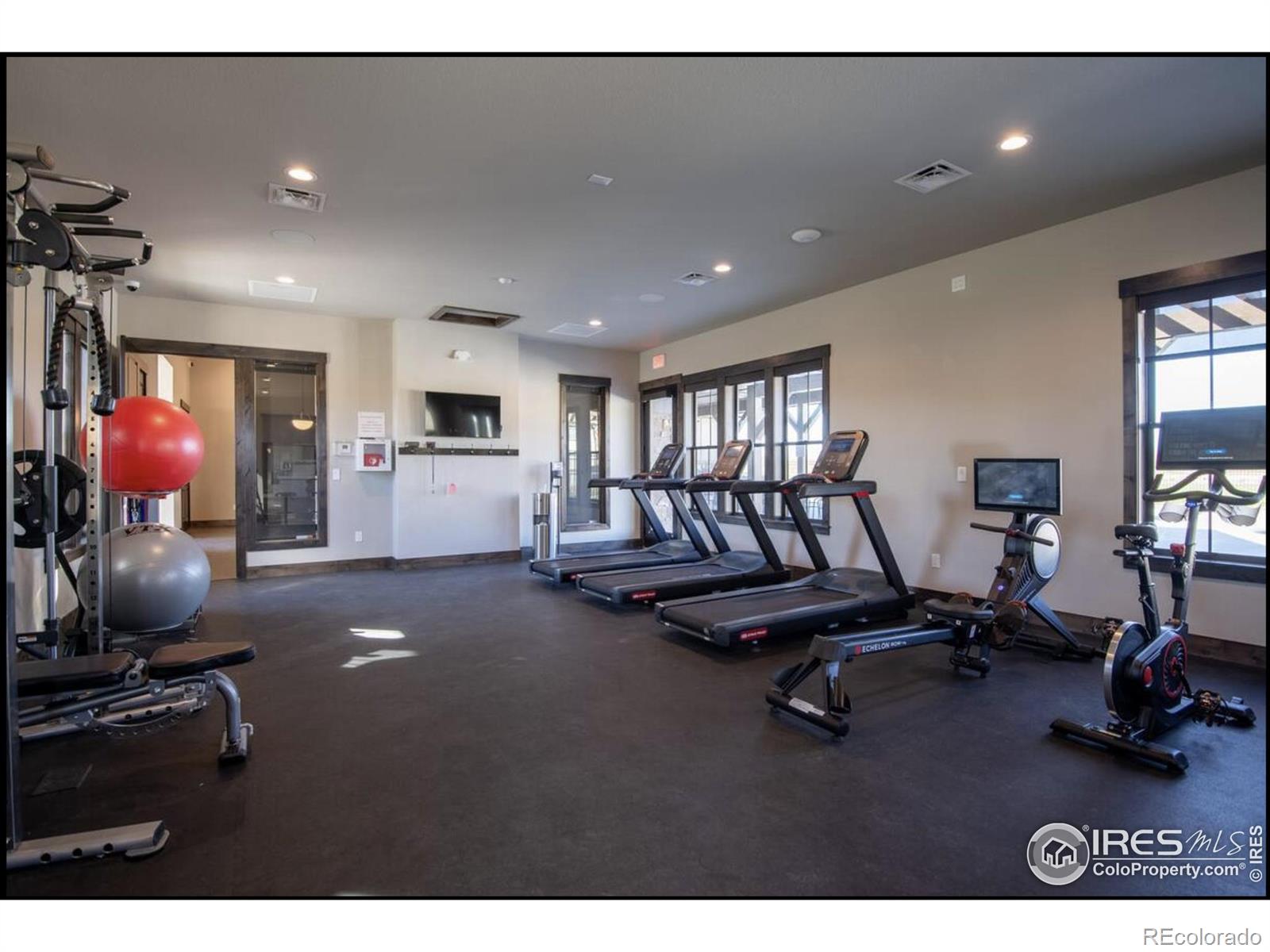 6243 Vernazza Way #2, Windsor, CO 80550, 2 Bedrooms Bedrooms, ,3 BathroomsBathrooms,Residential,For Sale,Vernazza,RECIR1022877