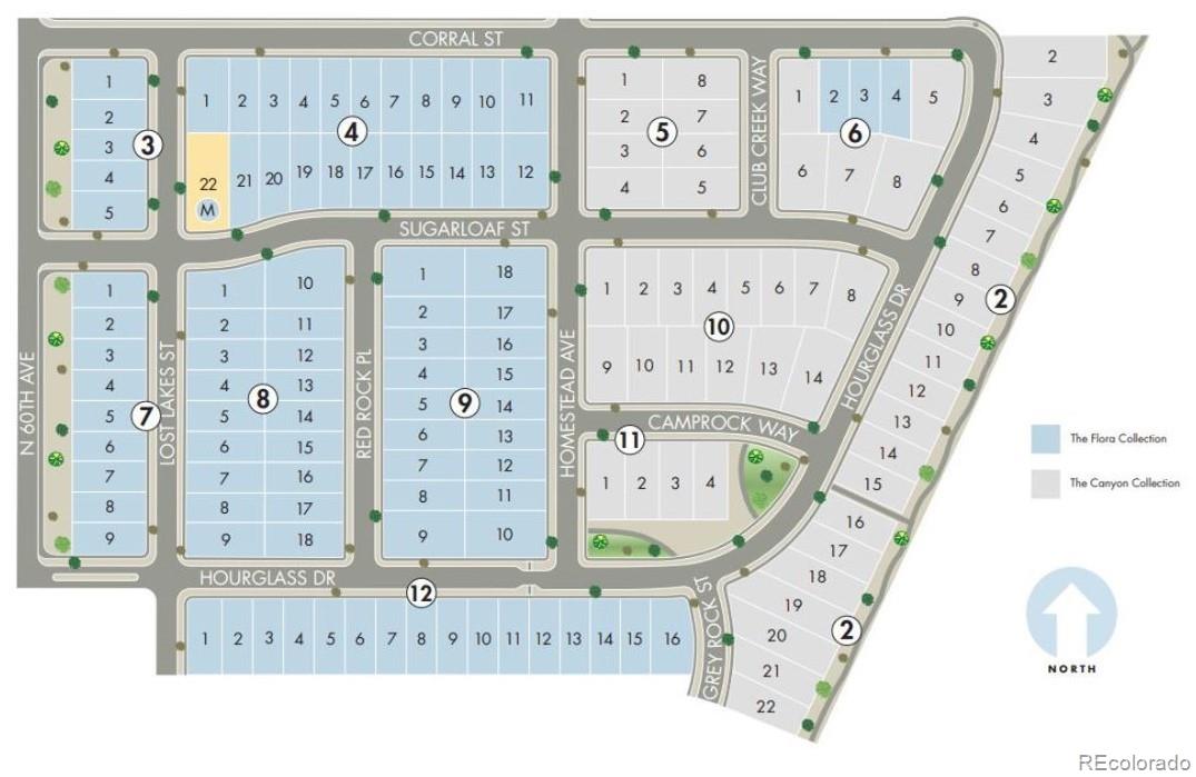 577 Homestead Avenue, Brighton, CO 80601, 3 Bedrooms Bedrooms, ,2 BathroomsBathrooms,Residential,For Sale,Homestead,REC2044044