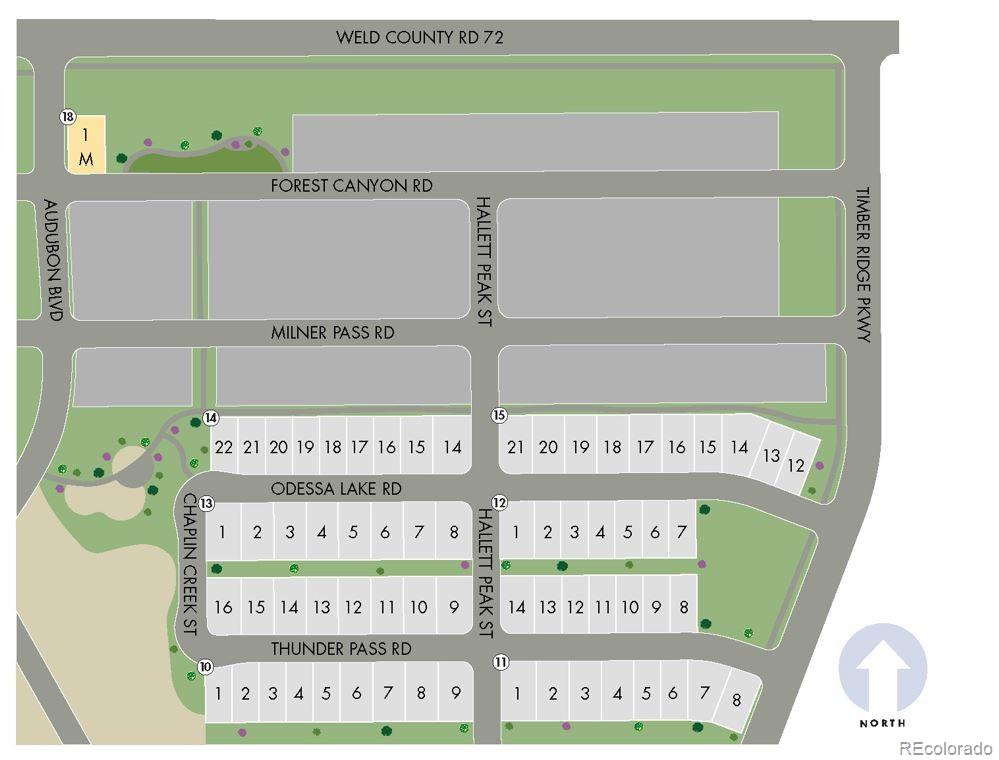 1039 Odessa Lake Road, Severance, CO 80550, 4 Bedrooms Bedrooms, ,3 BathroomsBathrooms,Residential,For Sale,Odessa Lake,REC1550574