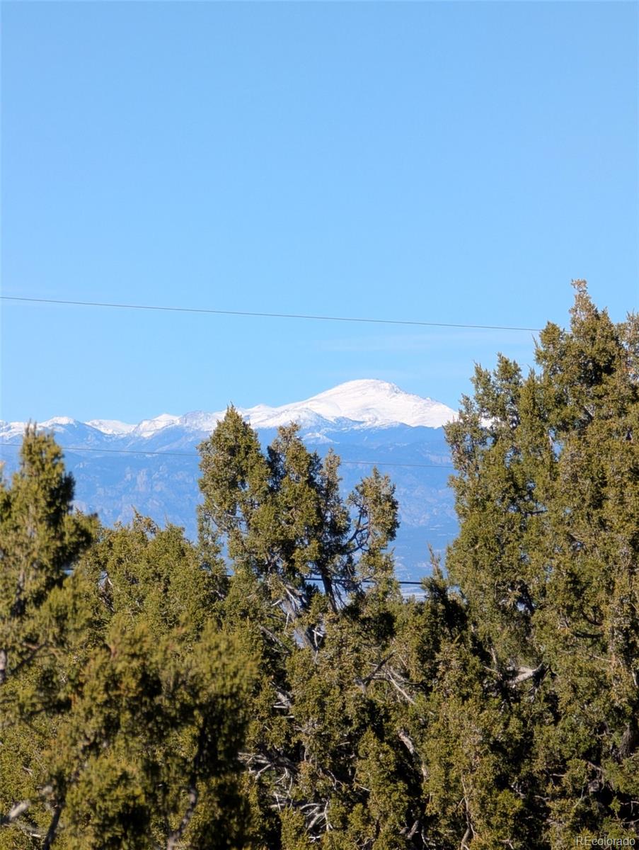 2382 Newton Road, Pueblo, CO 81005, ,Land,For Sale,Newton,REC8505466