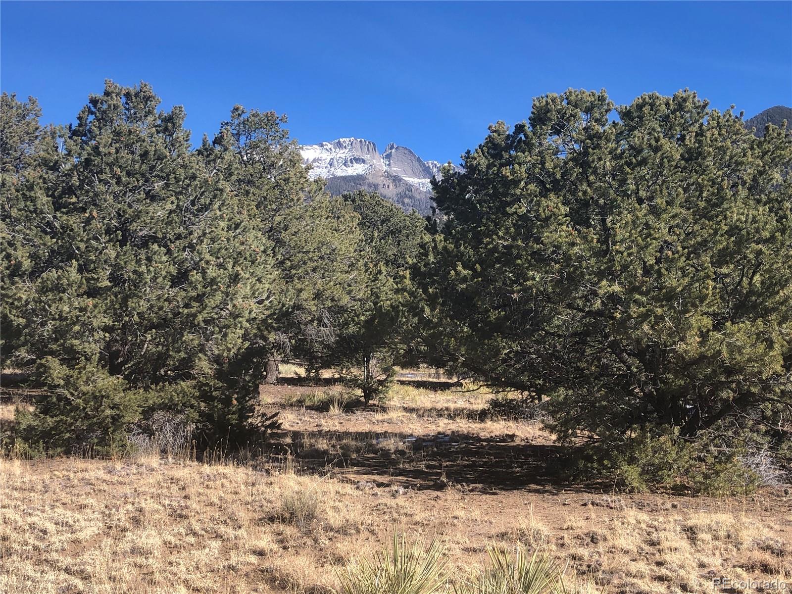 2644 Leisure Way, Crestone, CO 81131, ,Land,For Sale,Leisure,REC4394968