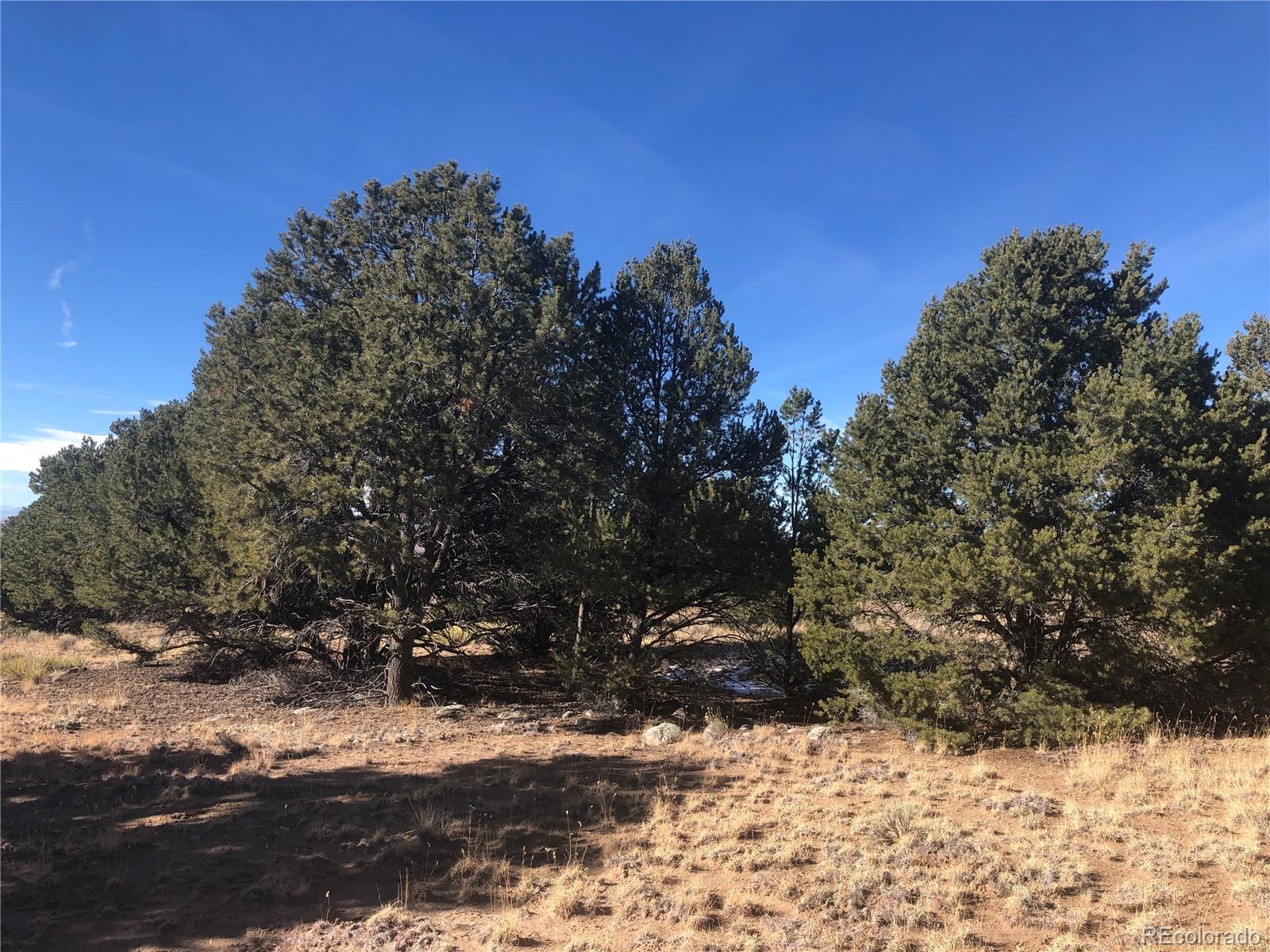 2644 Leisure Way, Crestone, CO 81131, ,Land,For Sale,Leisure,REC4394968