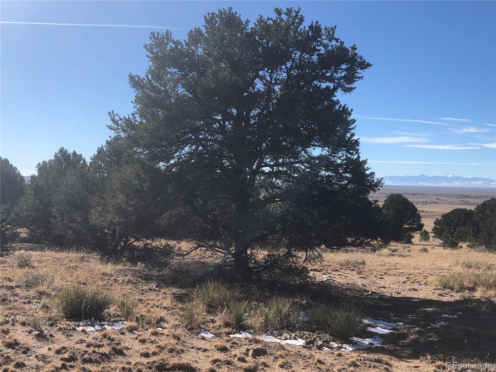 2644 Leisure Way, Crestone, CO 81131, ,Land,For Sale,Leisure,REC4394968