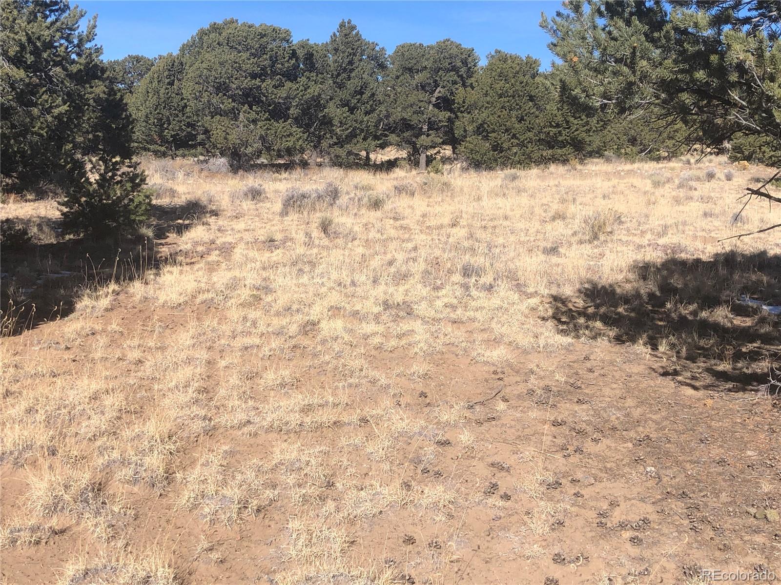 2644 Leisure Way, Crestone, CO 81131, ,Land,For Sale,Leisure,REC4394968