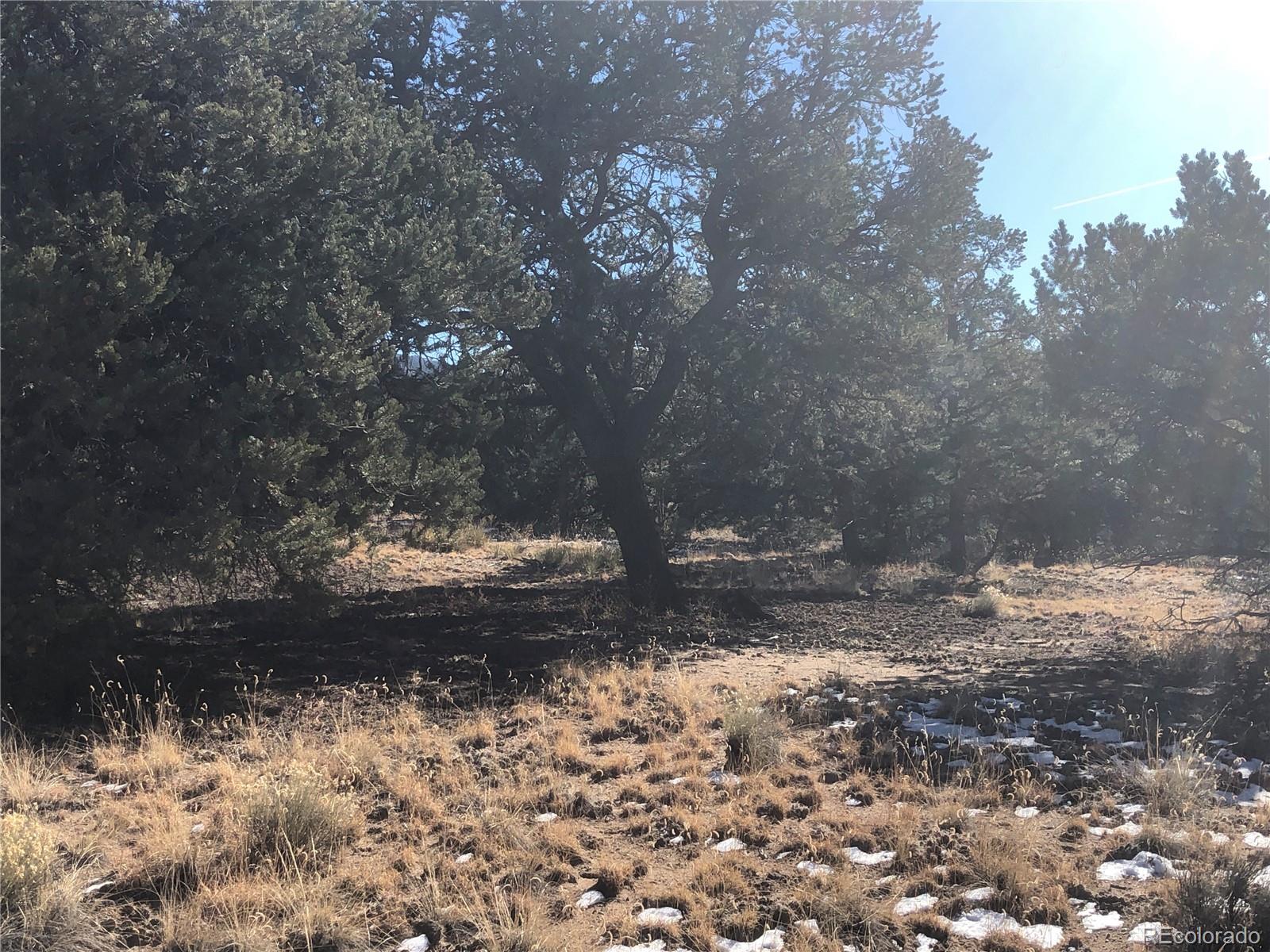 2644 Leisure Way, Crestone, CO 81131, ,Land,For Sale,Leisure,REC4394968