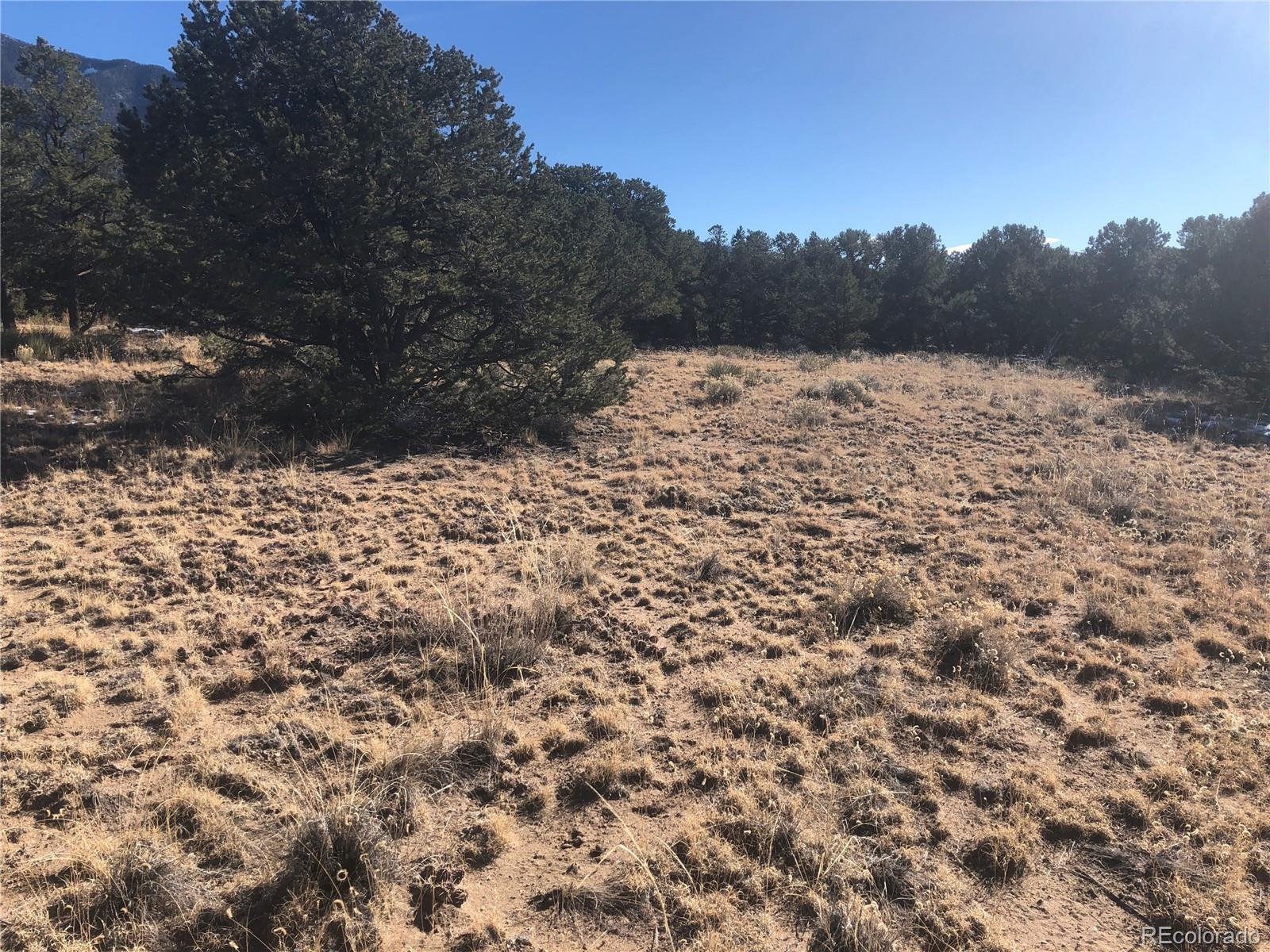 2644 Leisure Way, Crestone, CO 81131, ,Land,For Sale,Leisure,REC4394968
