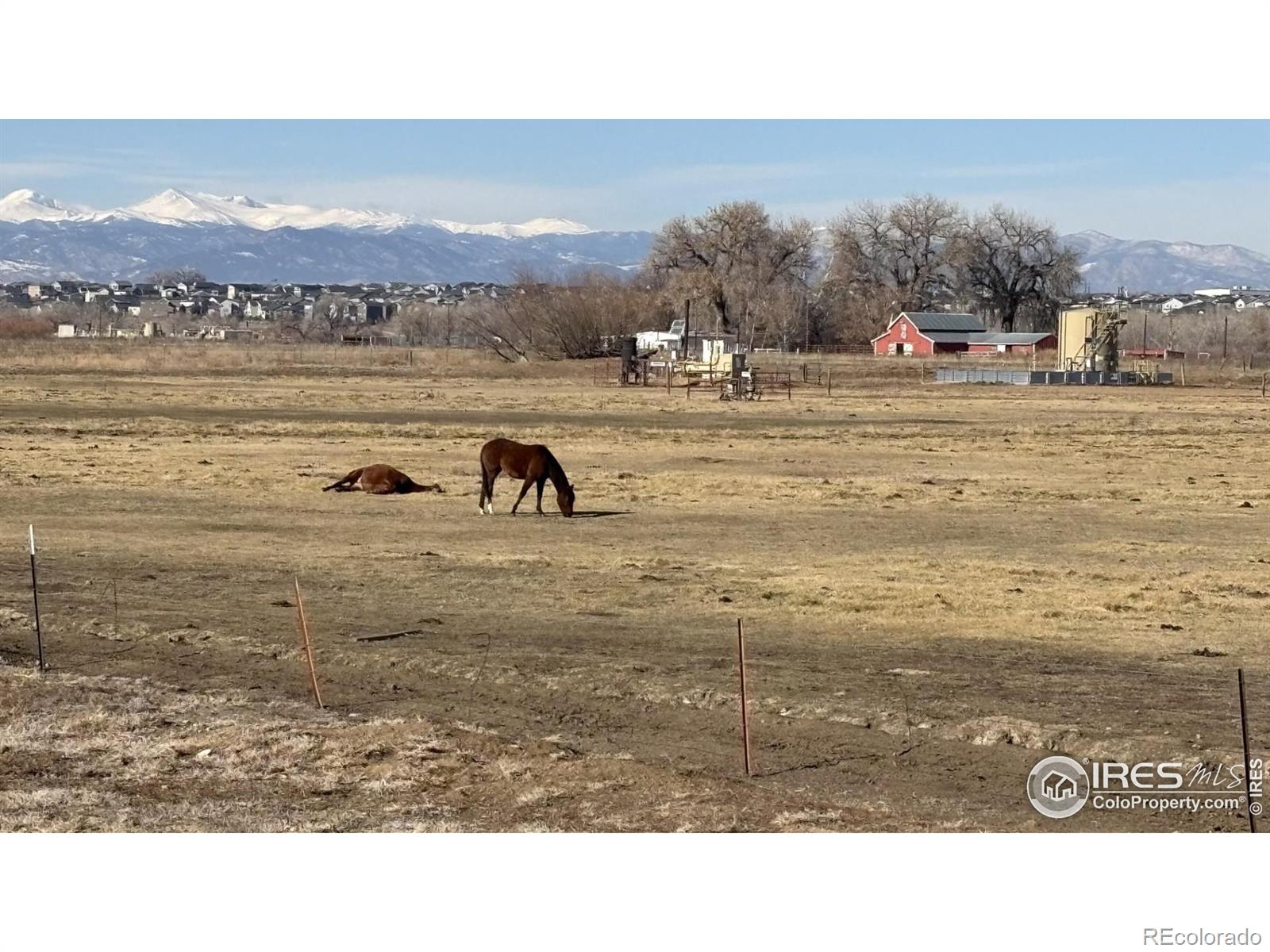 11739 County Road 13, Firestone, CO 80504, ,Land,For Sale,County Road 13,RECIR1022904
