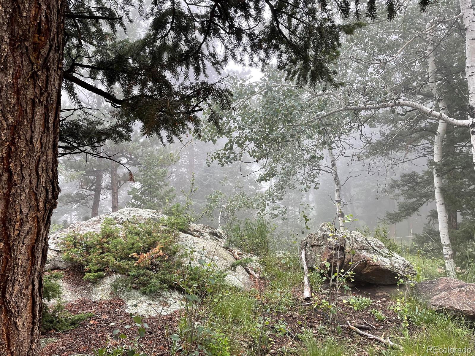 8959 Hillview Road, Morrison, CO 80465, 5 Bedrooms Bedrooms, ,3 BathroomsBathrooms,Residential,For Sale,Hillview,REC4810325