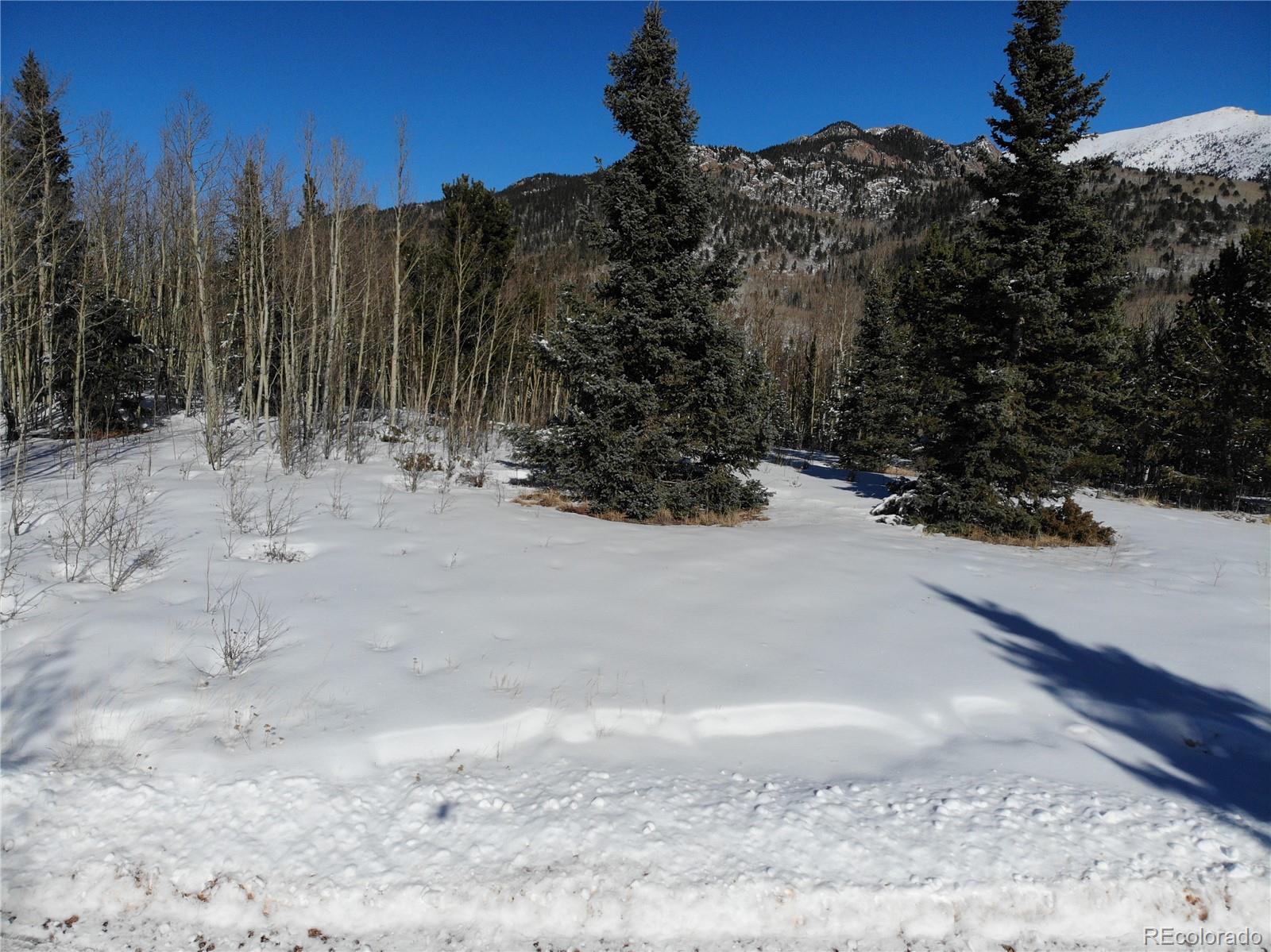 Castle Ridge View, Divide, CO 80813, ,Land,For Sale,Castle Ridge,REC6042473