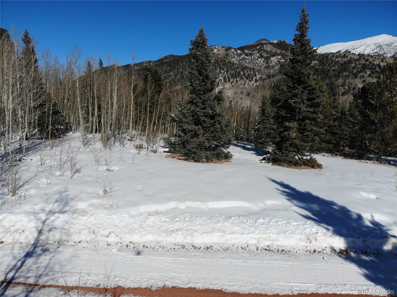 Castle Ridge View, Divide, CO 80813, ,Land,For Sale,Castle Ridge,REC6042473