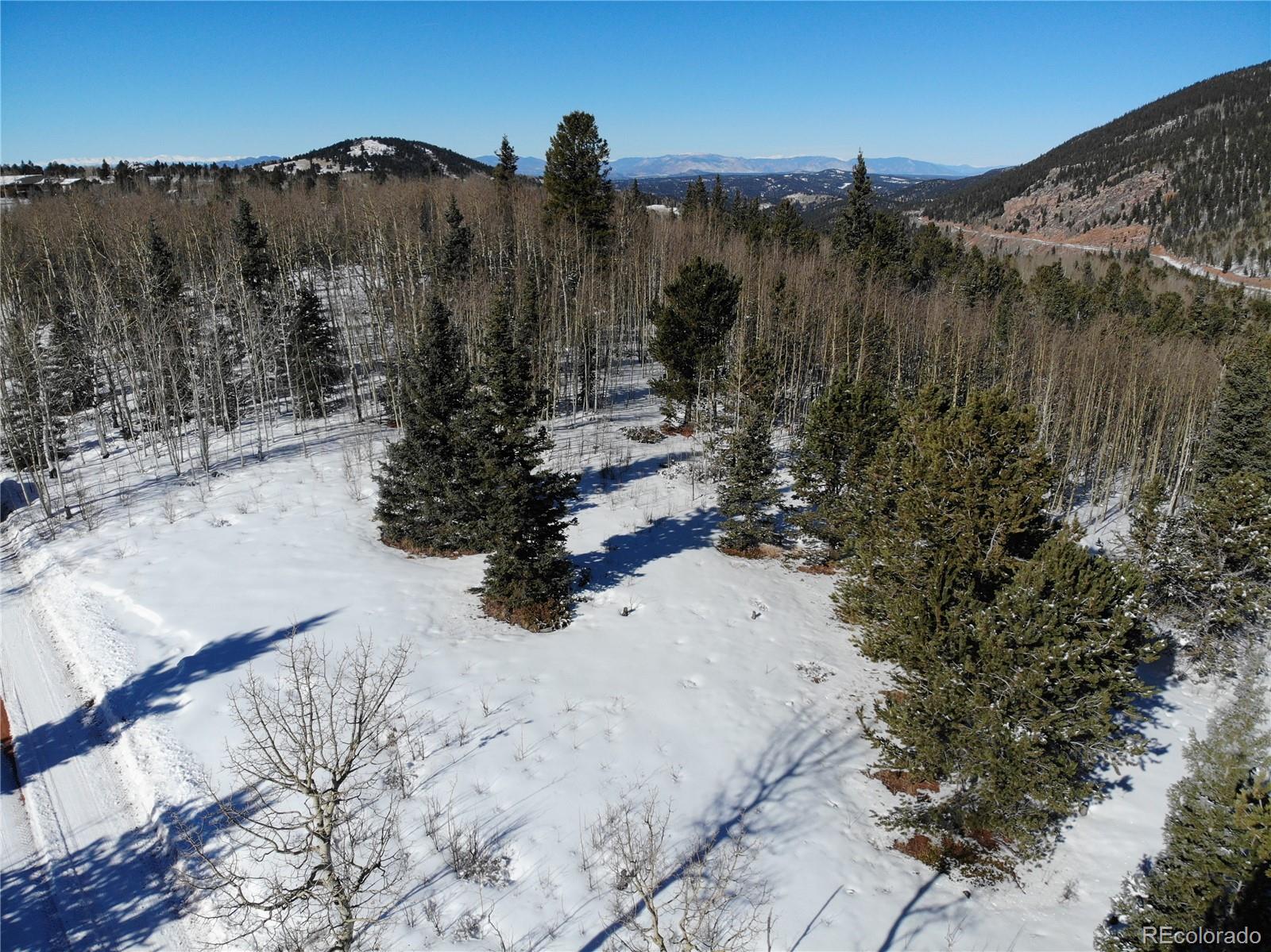 Castle Ridge View, Divide, CO 80813, ,Land,For Sale,Castle Ridge,REC6042473