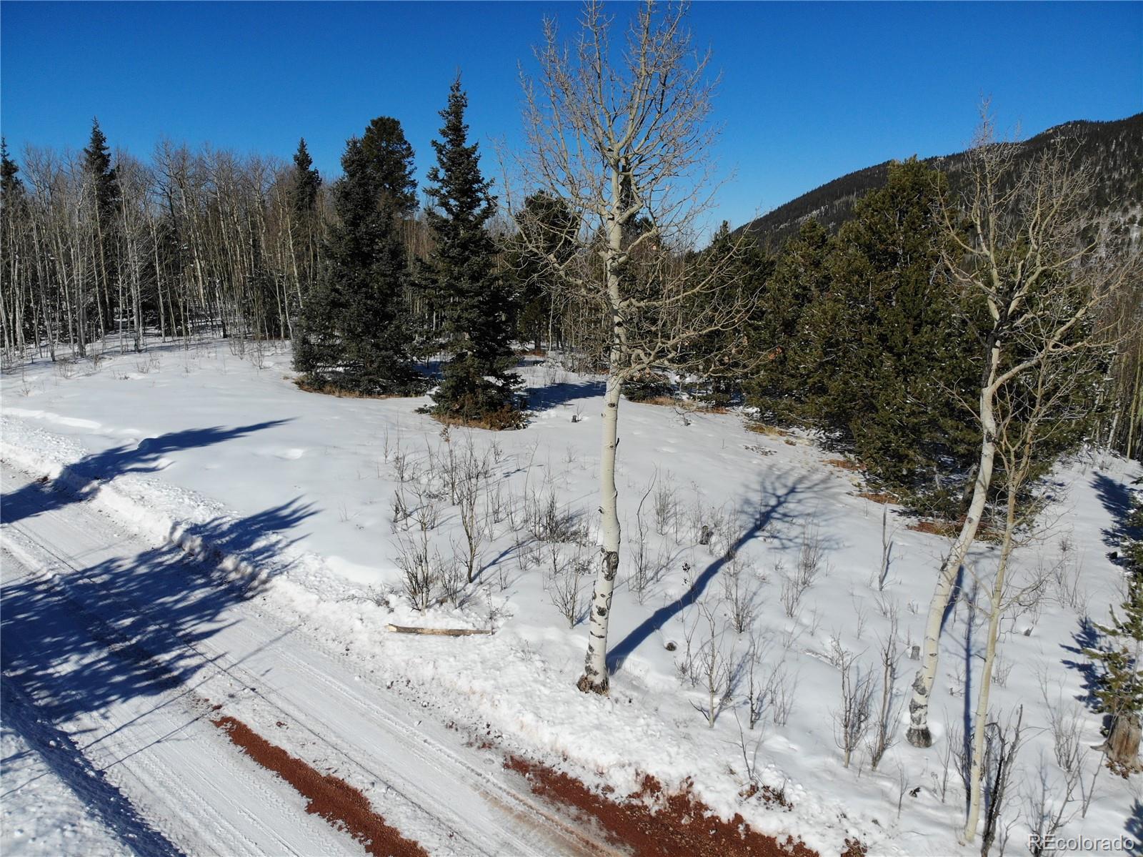 Castle Ridge View, Divide, CO 80813, ,Land,For Sale,Castle Ridge,REC6042473