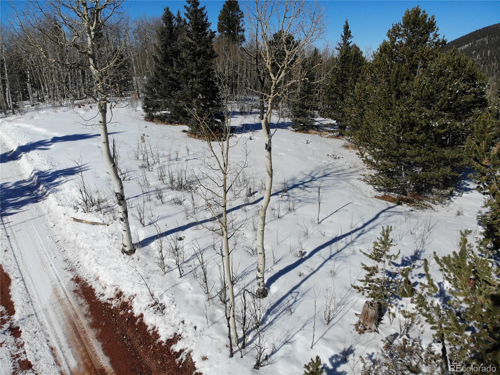 Castle Ridge View, Divide, CO 80813, ,Land,For Sale,Castle Ridge,REC6042473