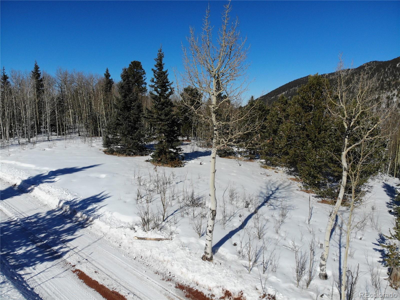 Castle Ridge View, Divide, CO 80813, ,Land,For Sale,Castle Ridge,REC6042473