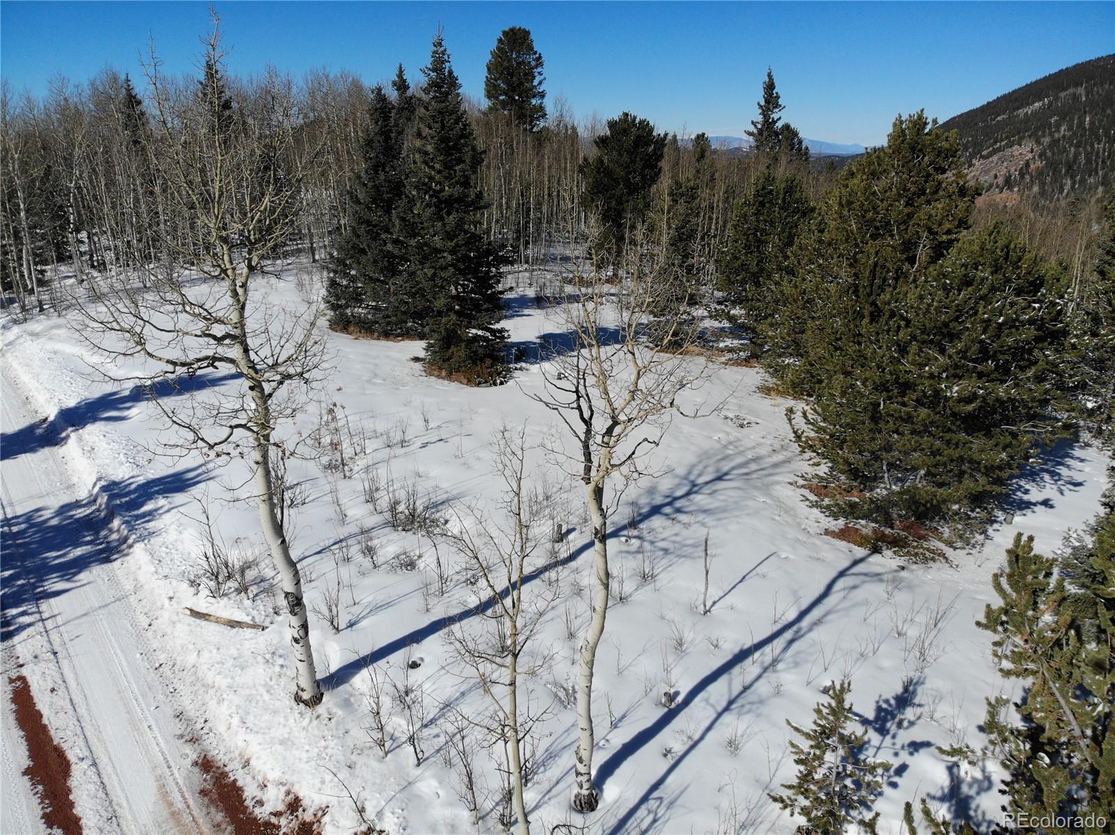 Castle Ridge View, Divide, CO 80813, ,Land,For Sale,Castle Ridge,REC6042473