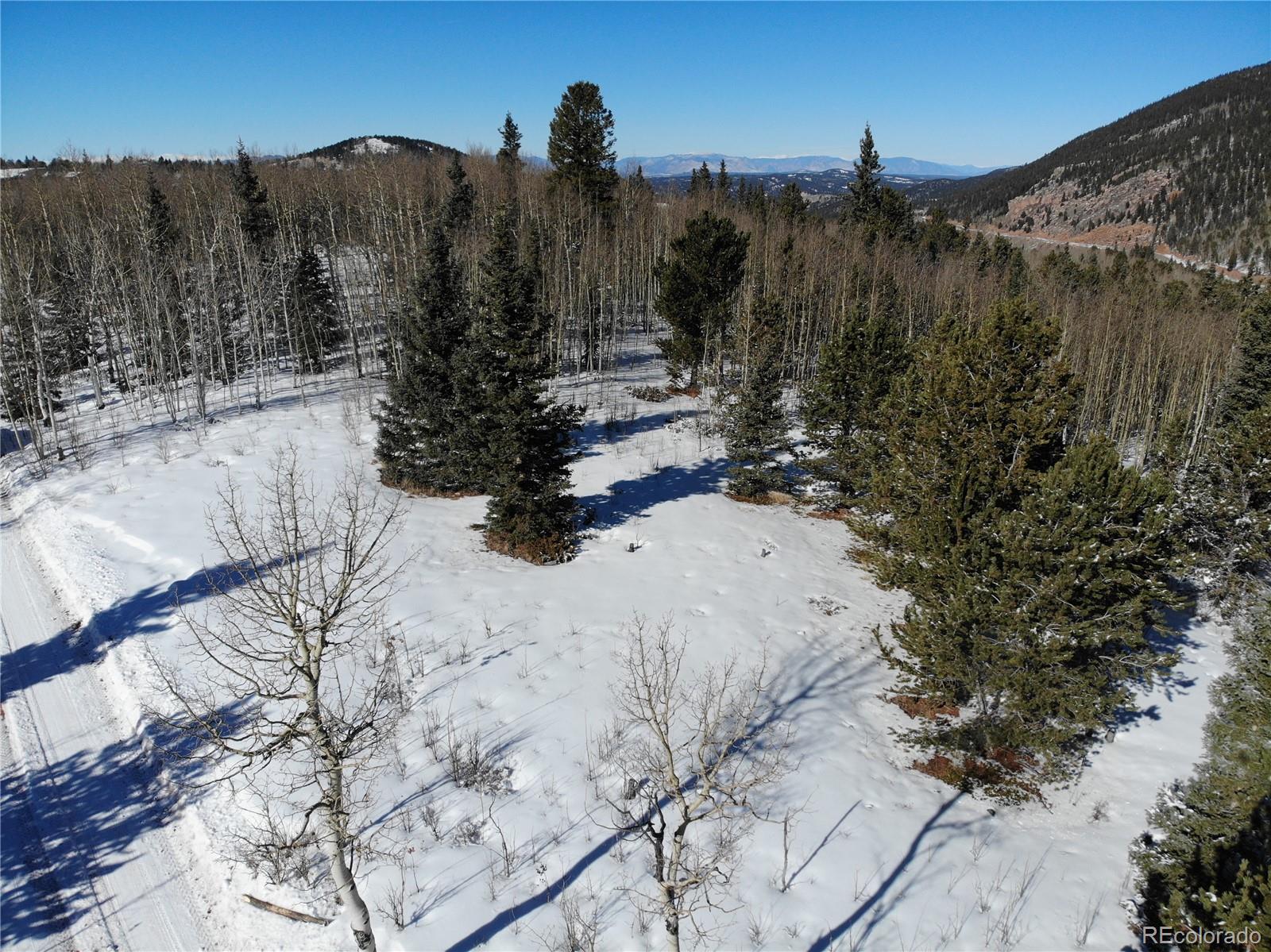 Castle Ridge View, Divide, CO 80813, ,Land,For Sale,Castle Ridge,REC6042473
