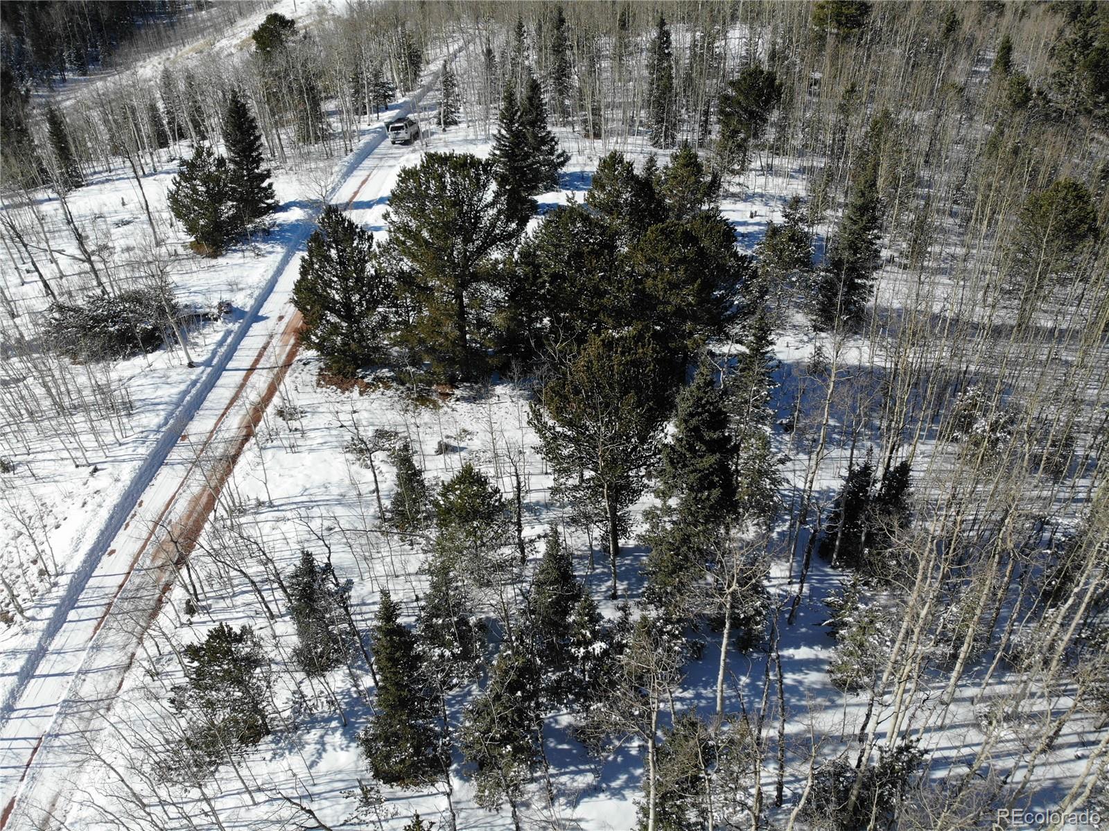 Castle Ridge View, Divide, CO 80813, ,Land,For Sale,Castle Ridge,REC6042473