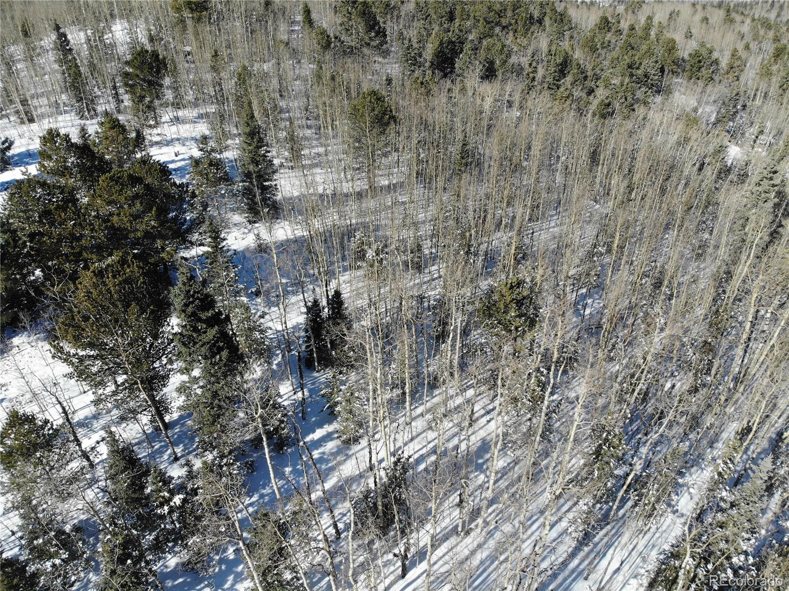 Castle Ridge View, Divide, CO 80813, ,Land,For Sale,Castle Ridge,REC6042473