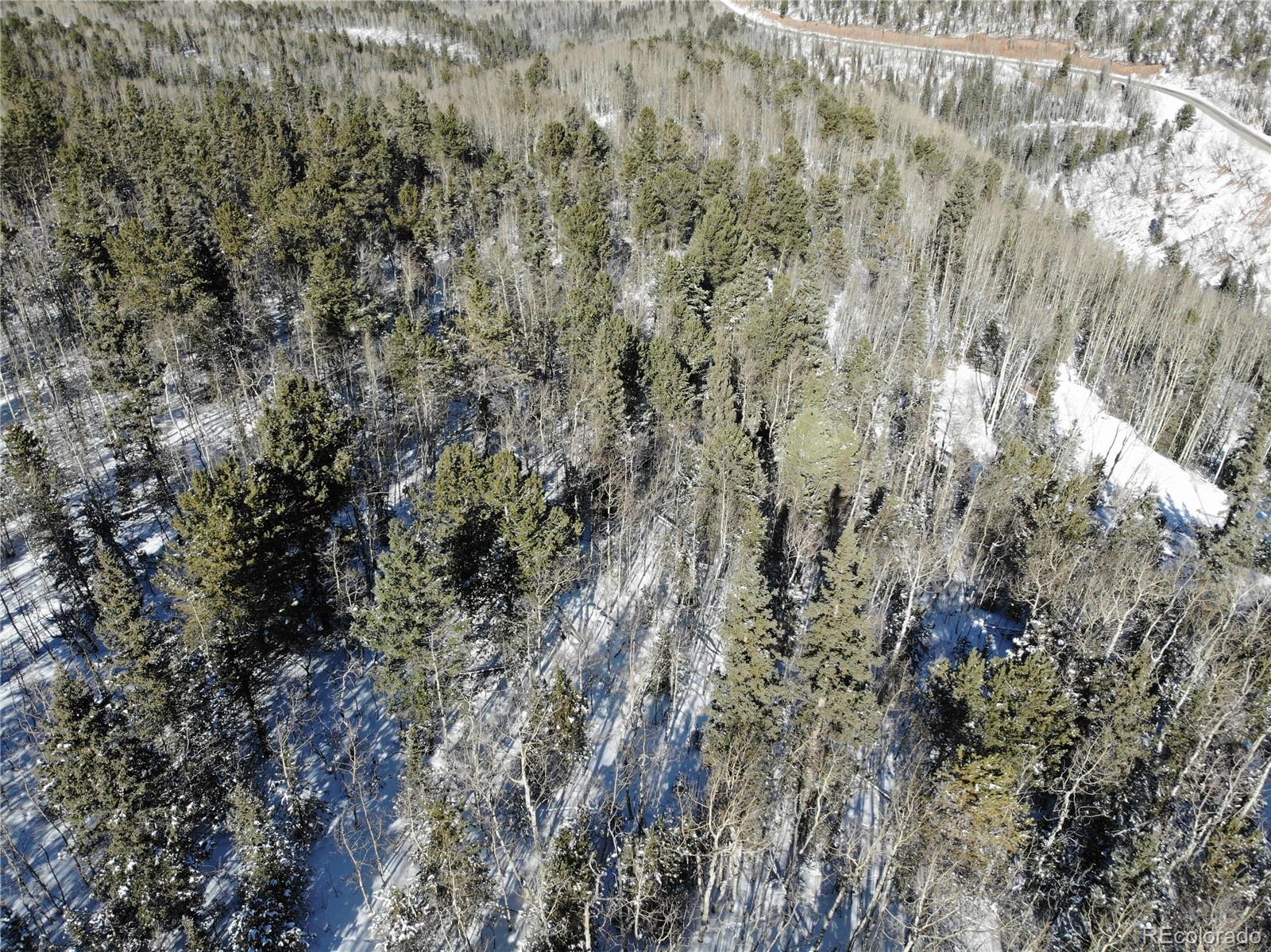 Castle Ridge View, Divide, CO 80813, ,Land,For Sale,Castle Ridge,REC6042473