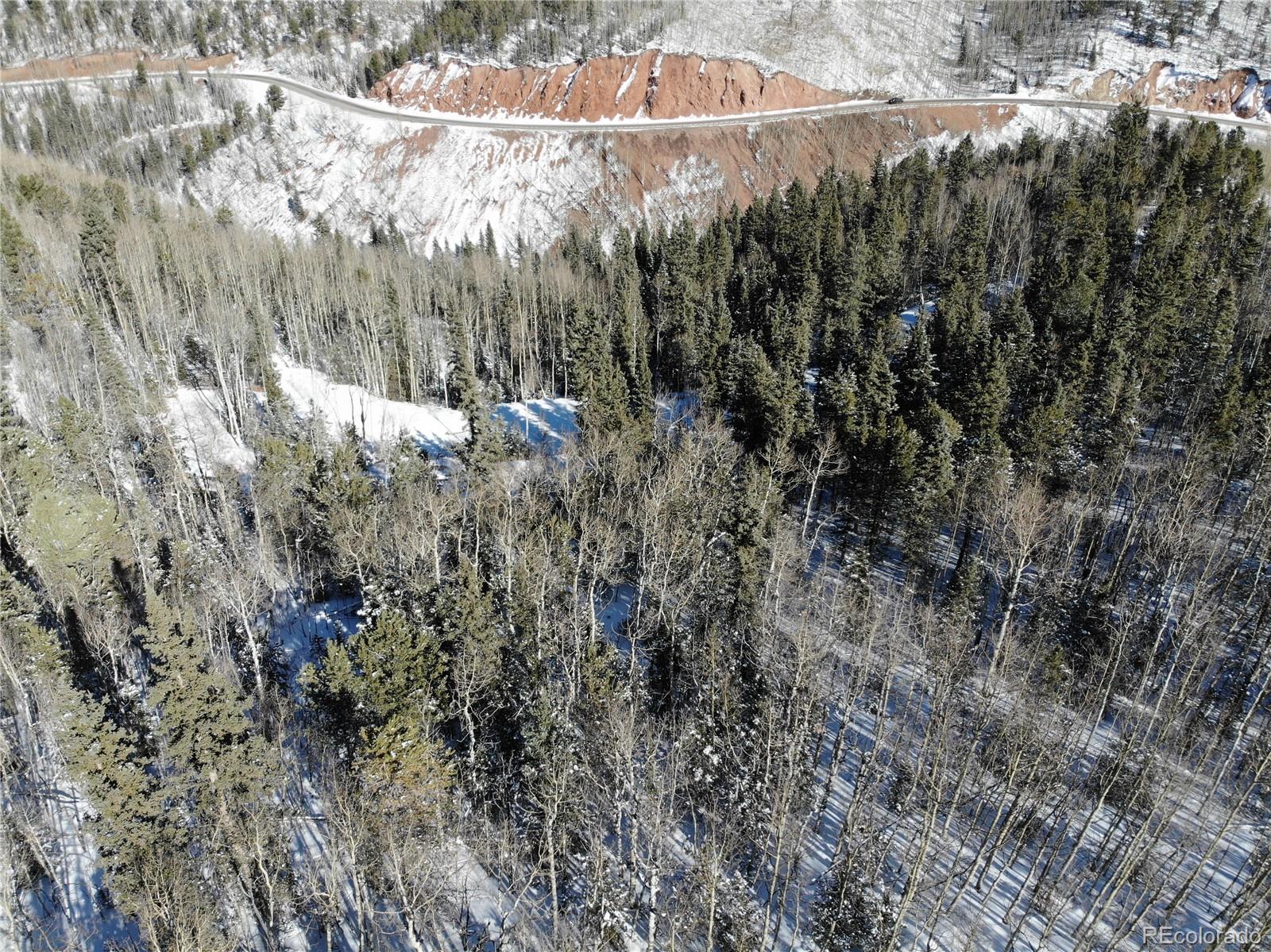 Castle Ridge View, Divide, CO 80813, ,Land,For Sale,Castle Ridge,REC6042473