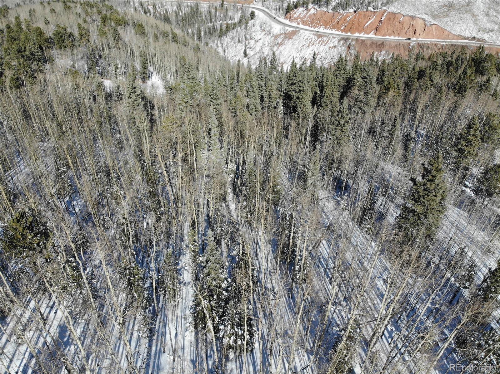Castle Ridge View, Divide, CO 80813, ,Land,For Sale,Castle Ridge,REC6042473