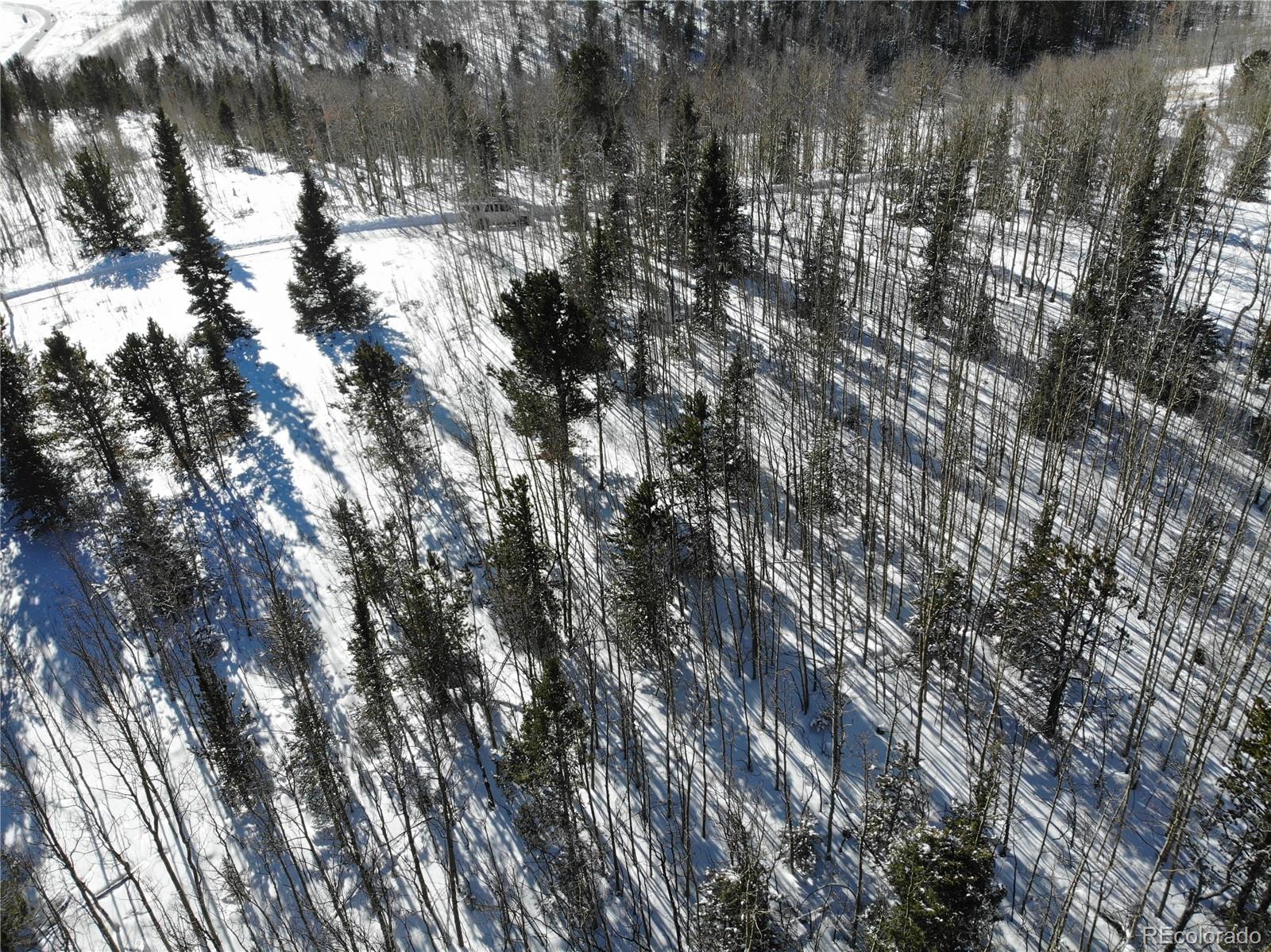 Castle Ridge View, Divide, CO 80813, ,Land,For Sale,Castle Ridge,REC6042473