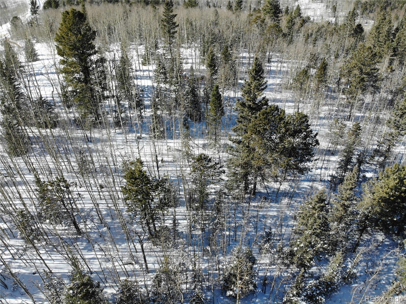 Castle Ridge View, Divide, CO 80813, ,Land,For Sale,Castle Ridge,REC6042473