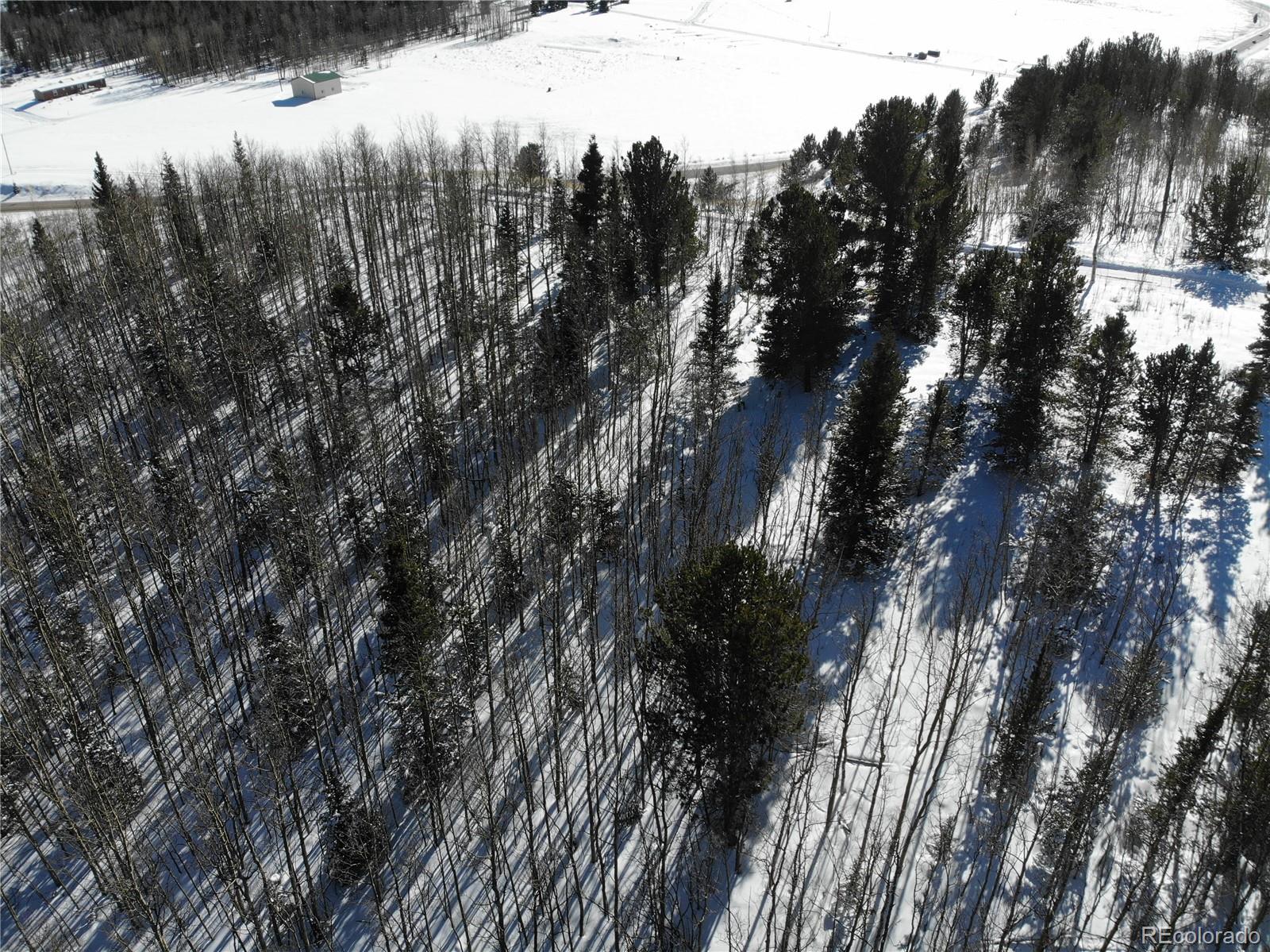 Castle Ridge View, Divide, CO 80813, ,Land,For Sale,Castle Ridge,REC6042473