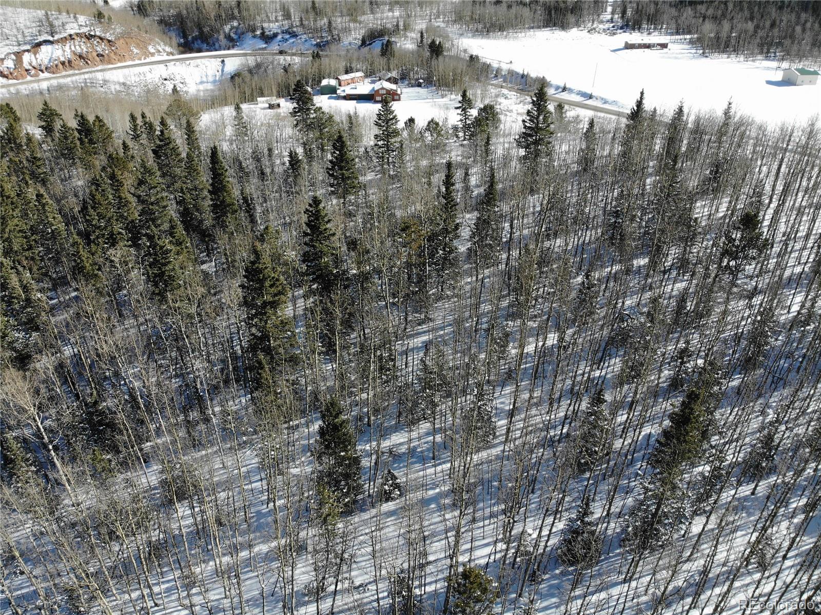 Castle Ridge View, Divide, CO 80813, ,Land,For Sale,Castle Ridge,REC6042473