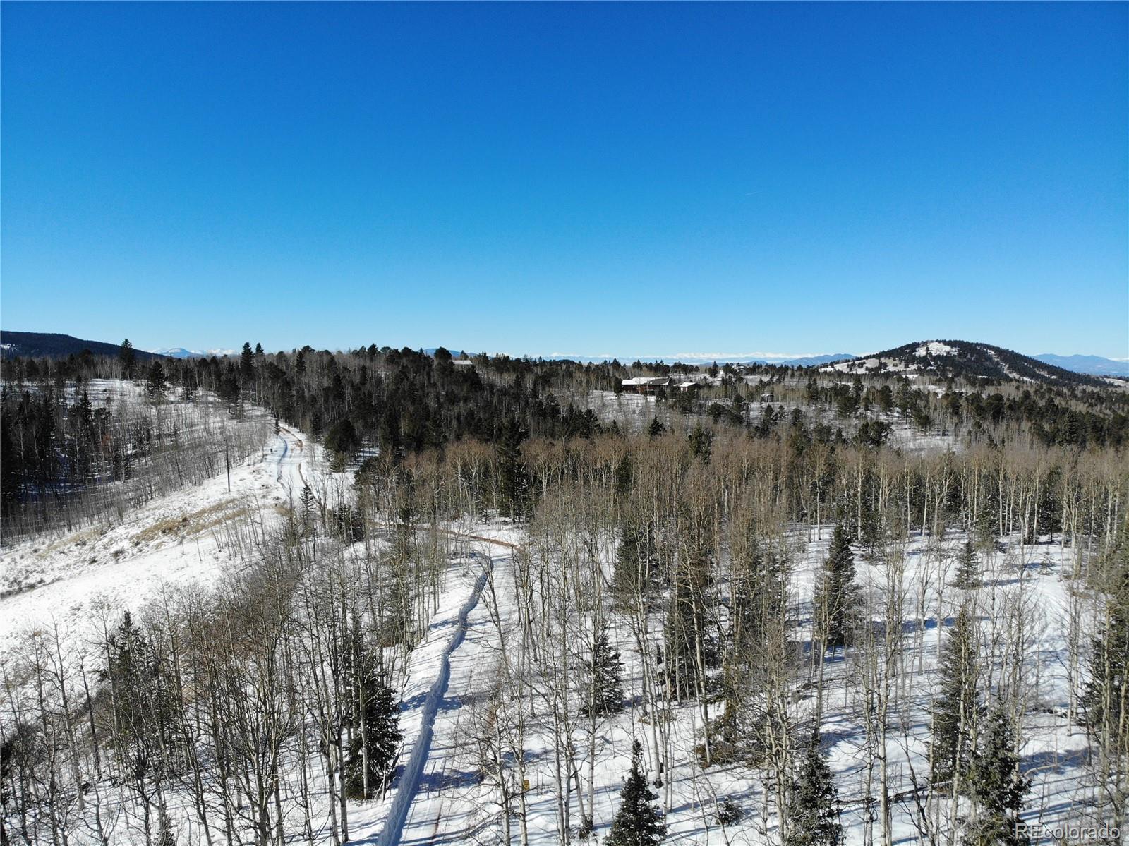 Castle Ridge View, Divide, CO 80813, ,Land,For Sale,Castle Ridge,REC6042473