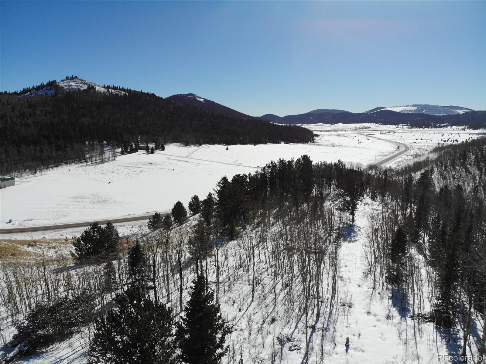 Castle Ridge View, Divide, CO 80813, ,Land,For Sale,Castle Ridge,REC6042473