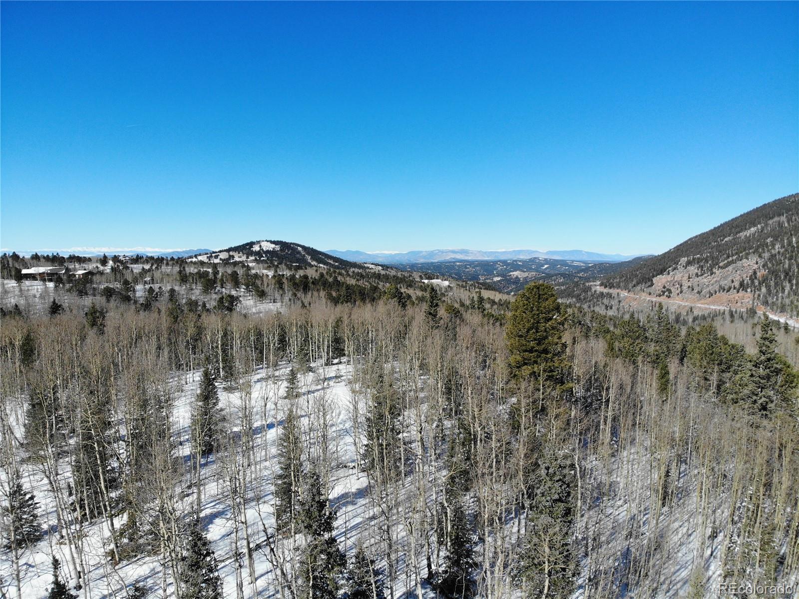 Castle Ridge View, Divide, CO 80813, ,Land,For Sale,Castle Ridge,REC6042473