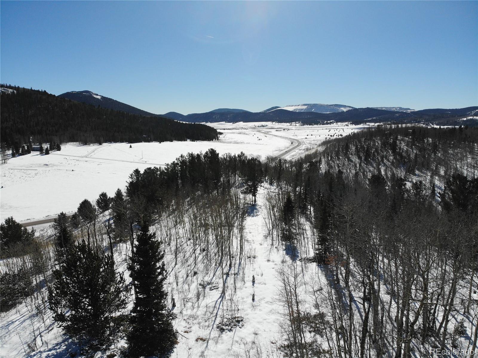 Castle Ridge View, Divide, CO 80813, ,Land,For Sale,Castle Ridge,REC6042473