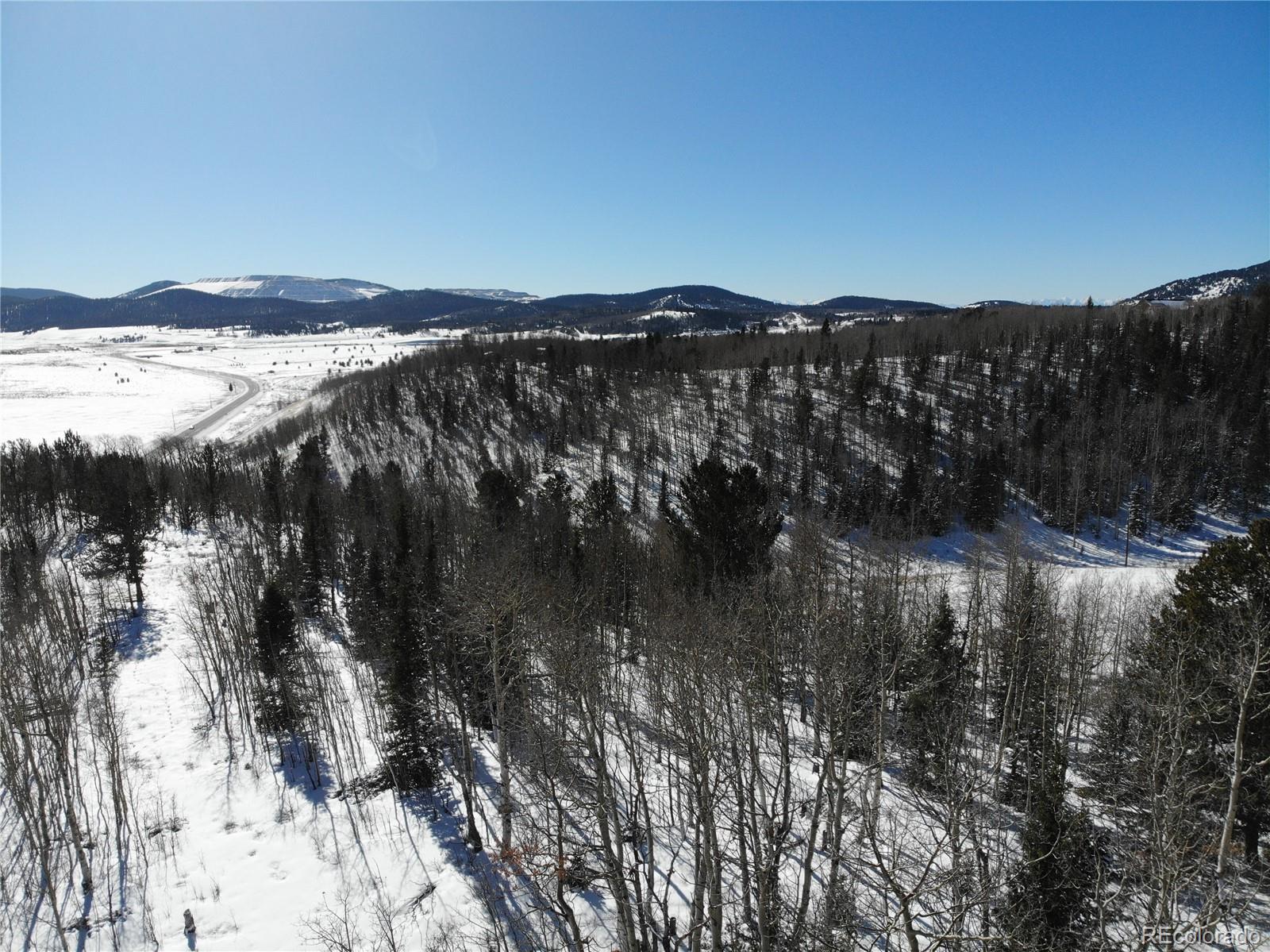 Castle Ridge View, Divide, CO 80813, ,Land,For Sale,Castle Ridge,REC6042473