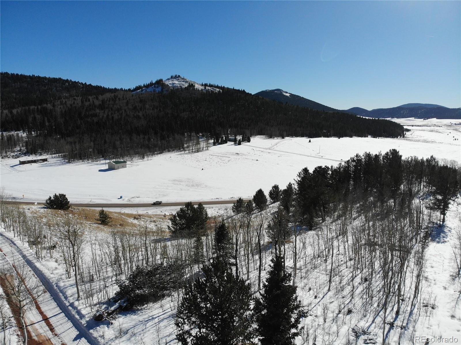 Castle Ridge View, Divide, CO 80813, ,Land,For Sale,Castle Ridge,REC6042473