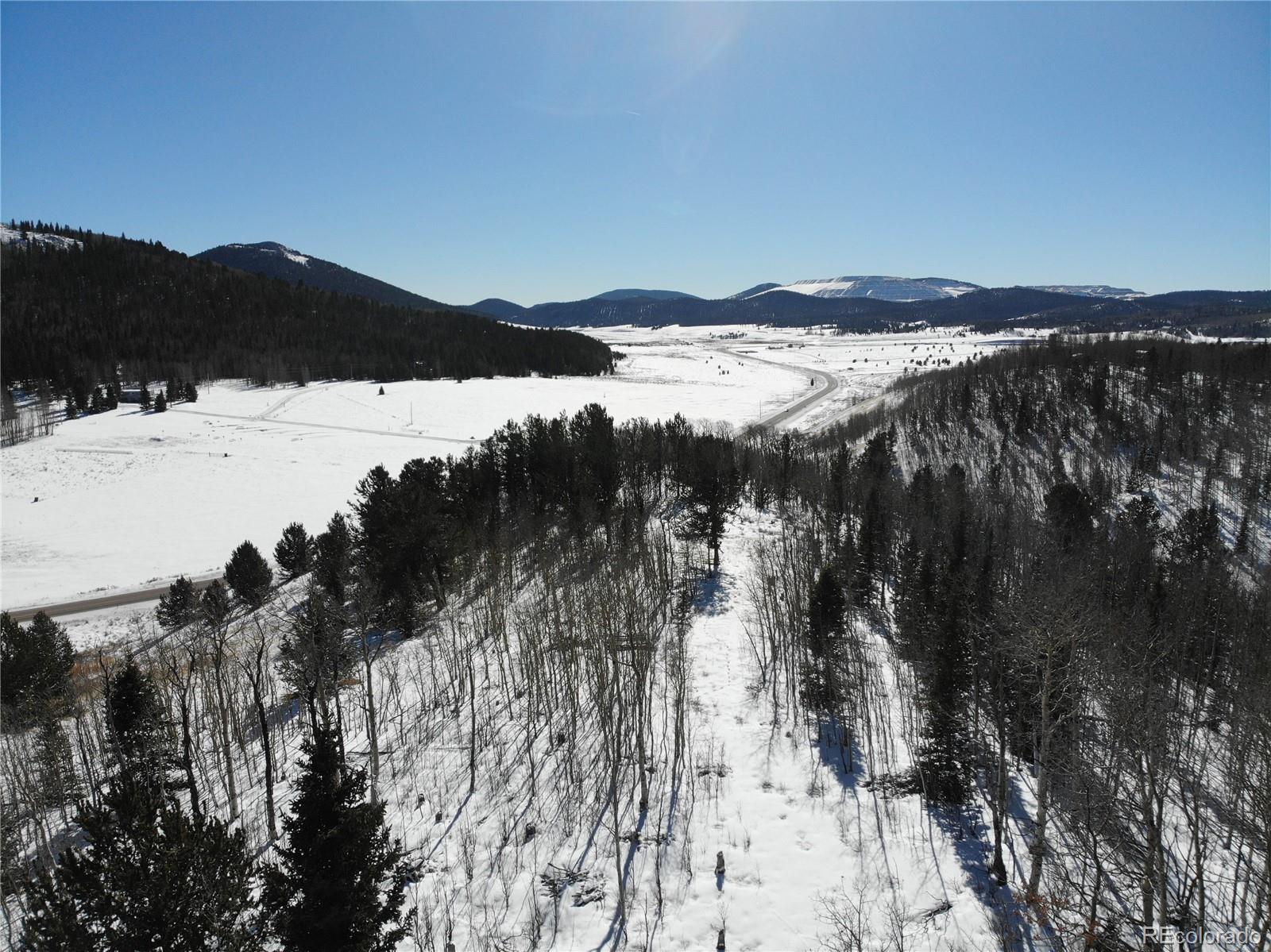 Castle Ridge View, Divide, CO 80813, ,Land,For Sale,Castle Ridge,REC6042473
