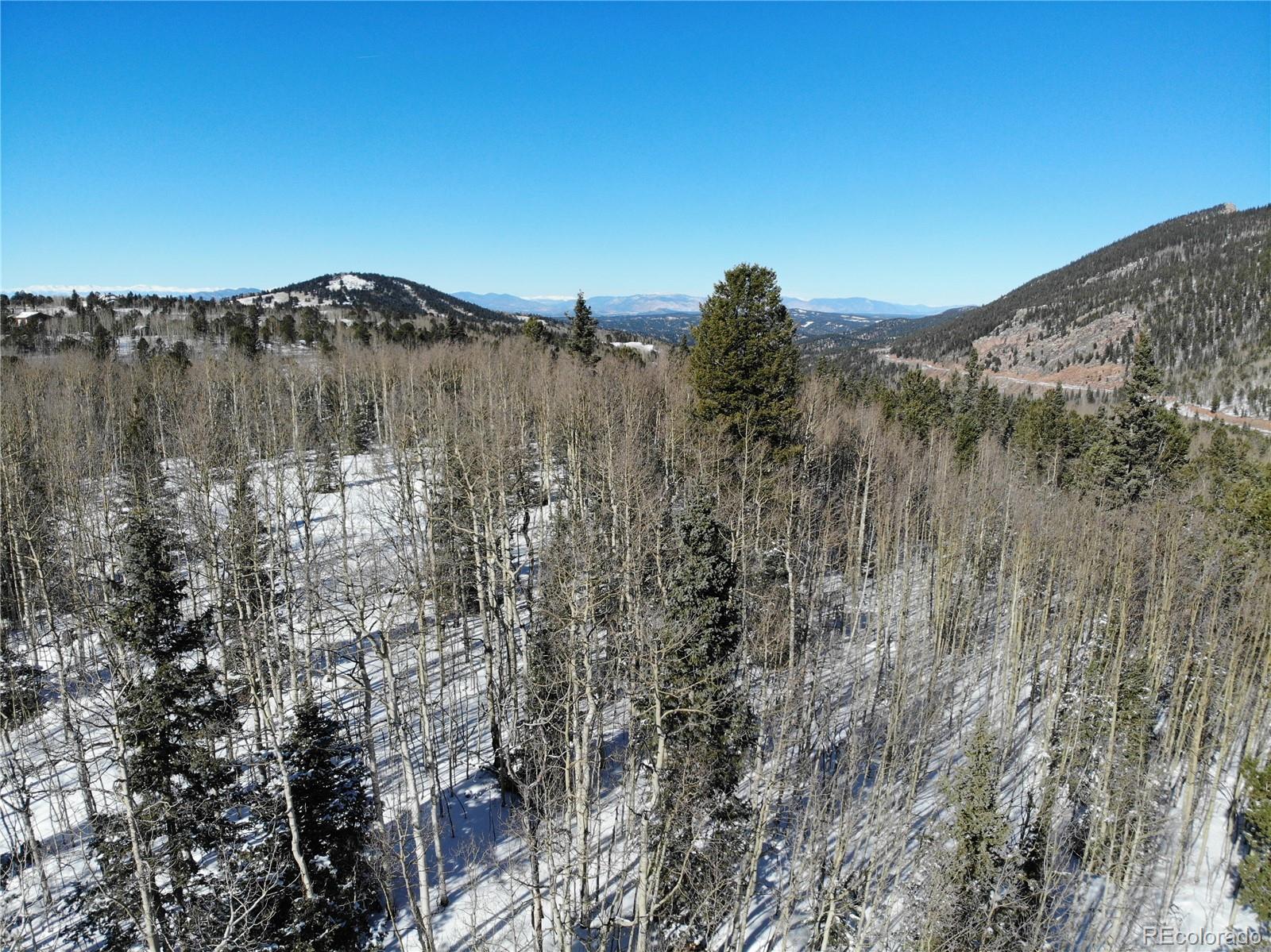 Castle Ridge View, Divide, CO 80813, ,Land,For Sale,Castle Ridge,REC6042473
