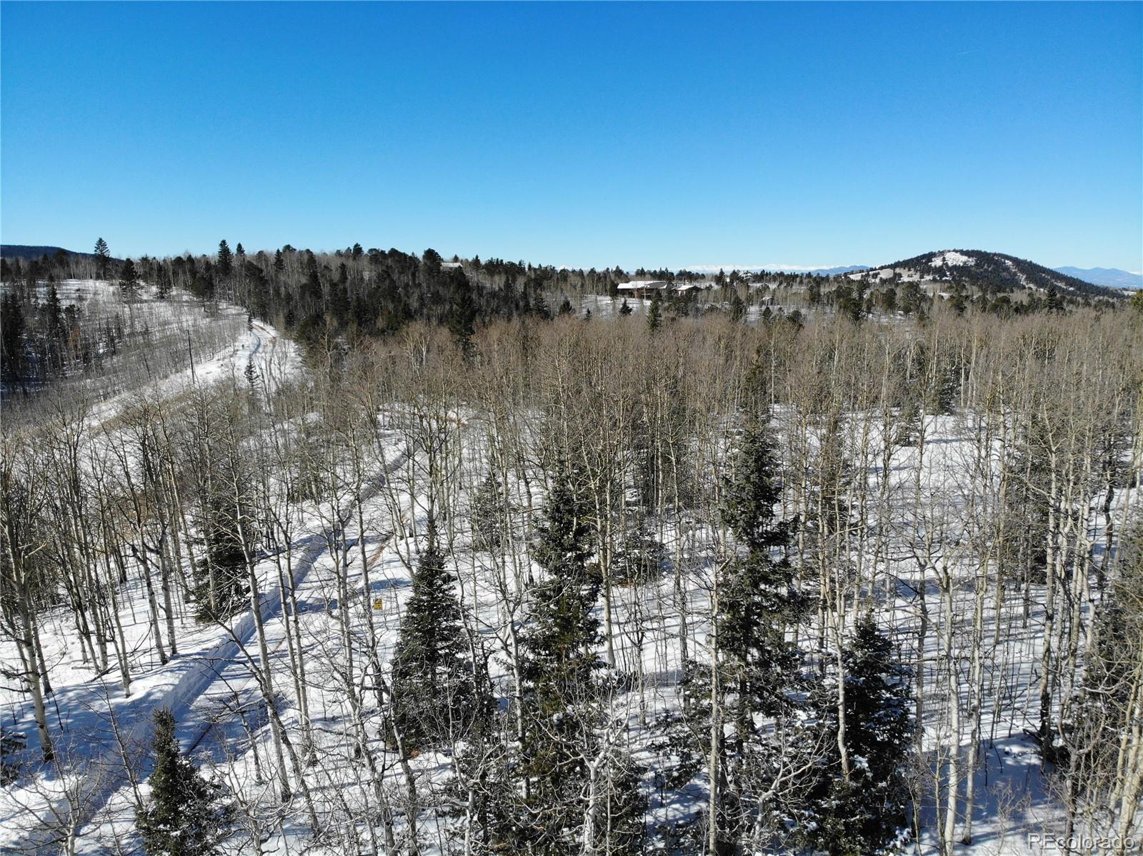Castle Ridge View, Divide, CO 80813, ,Land,For Sale,Castle Ridge,REC6042473