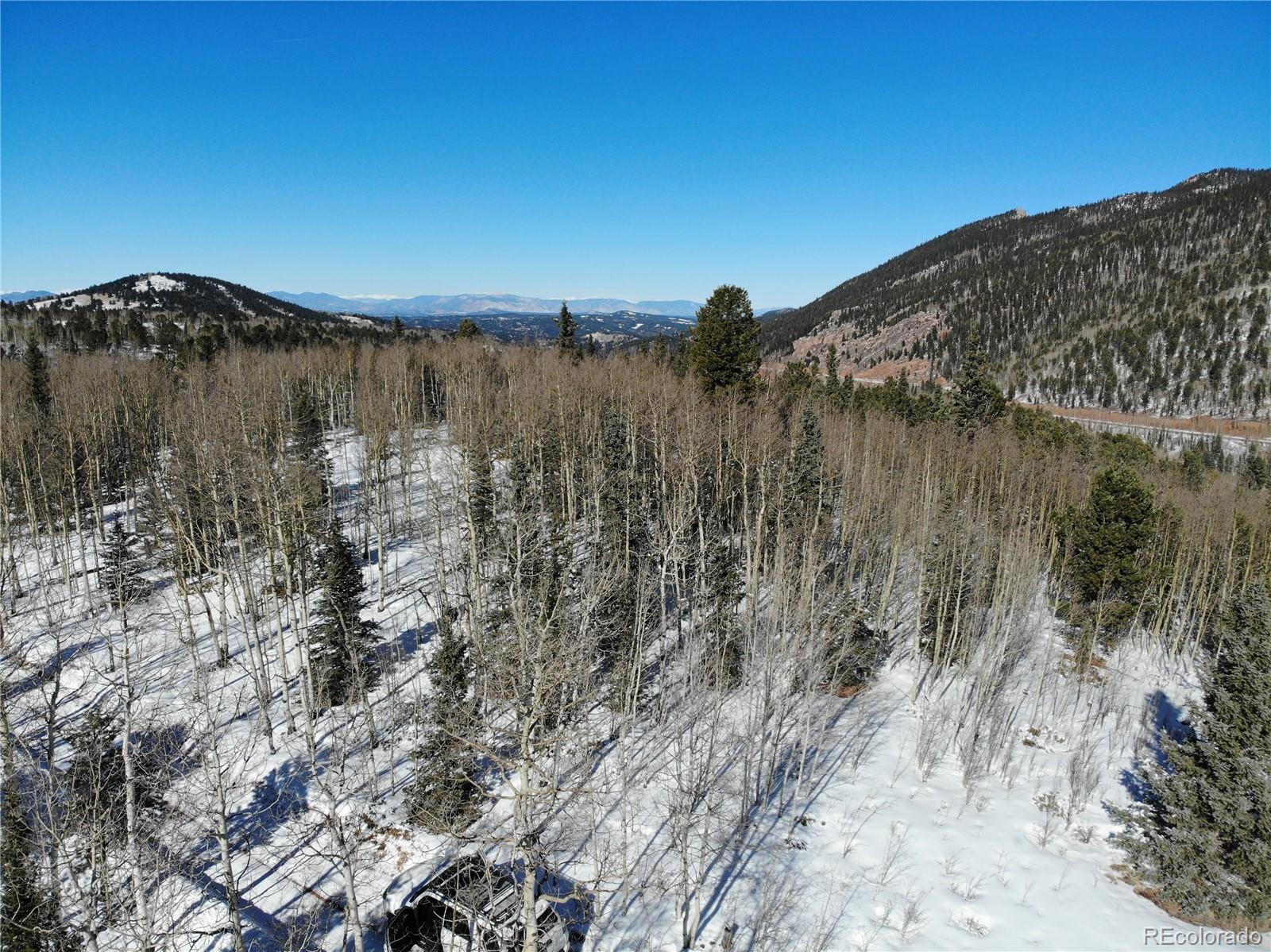 Castle Ridge View, Divide, CO 80813, ,Land,For Sale,Castle Ridge,REC6042473