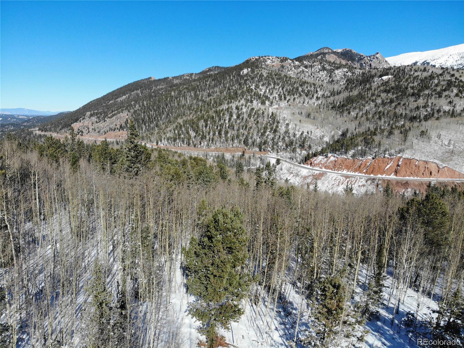 Castle Ridge View, Divide, CO 80813, ,Land,For Sale,Castle Ridge,REC6042473