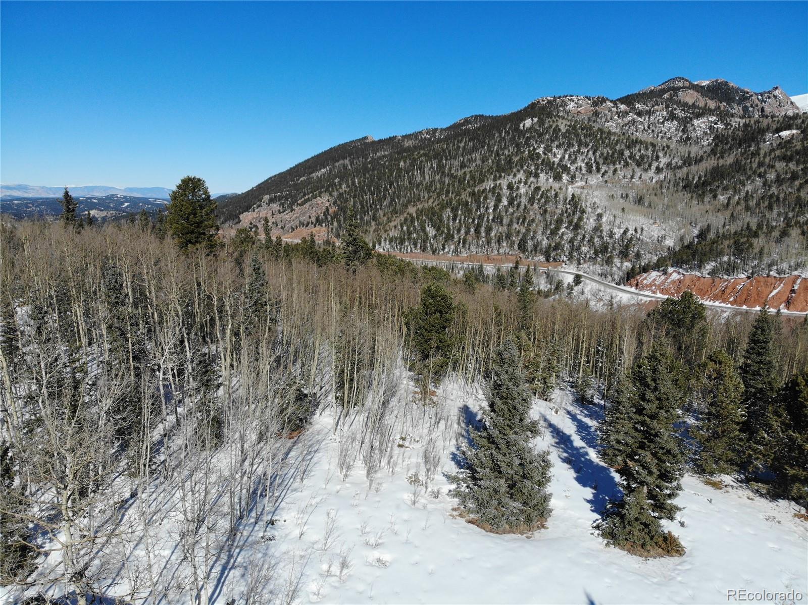 Castle Ridge View, Divide, CO 80813, ,Land,For Sale,Castle Ridge,REC6042473