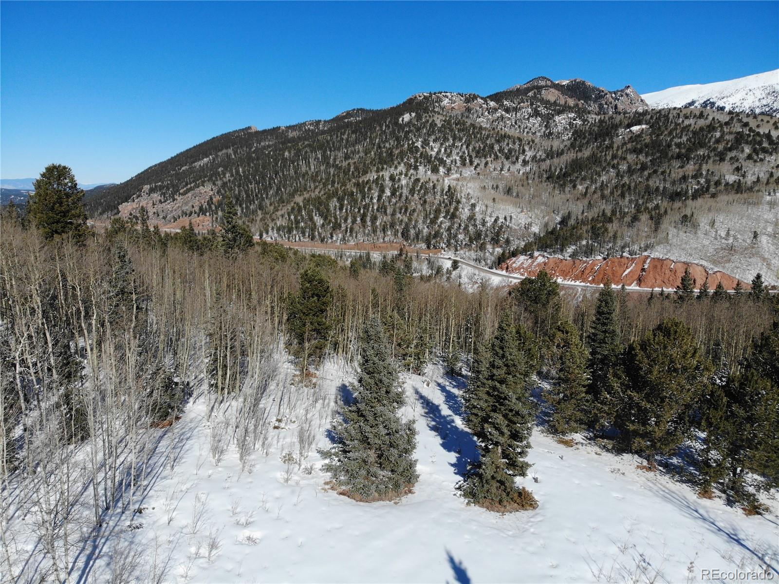 Castle Ridge View, Divide, CO 80813, ,Land,For Sale,Castle Ridge,REC6042473