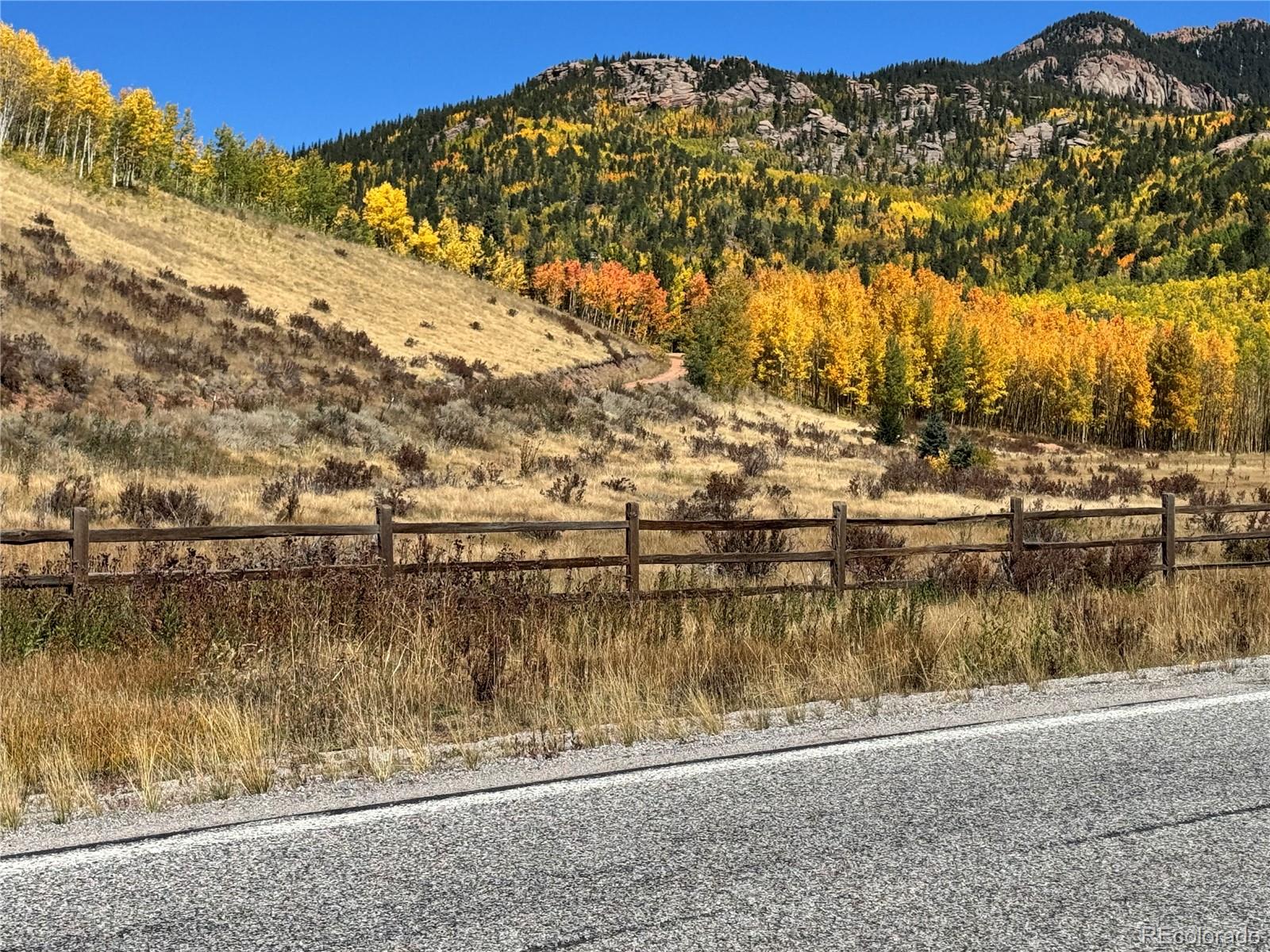 Castle Ridge View, Divide, CO 80813, ,Land,For Sale,Castle Ridge,REC6042473