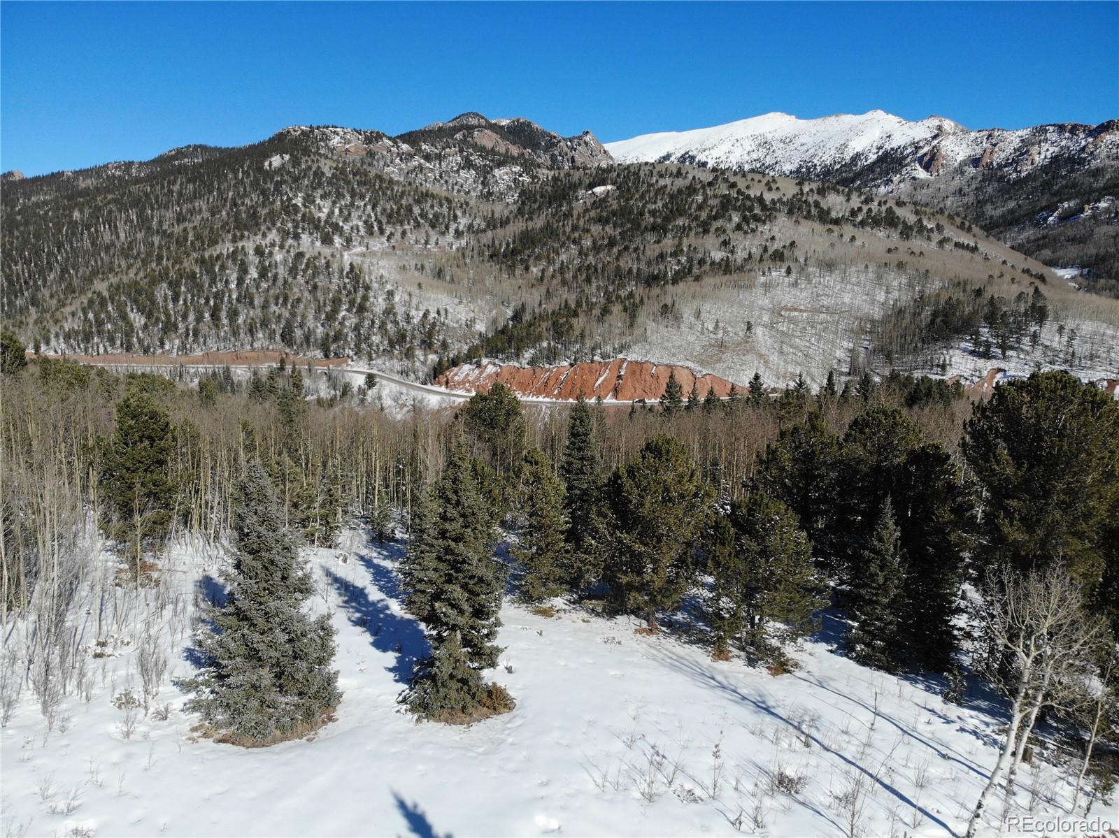 Castle Ridge View, Divide, CO 80813, ,Land,For Sale,Castle Ridge,REC6042473