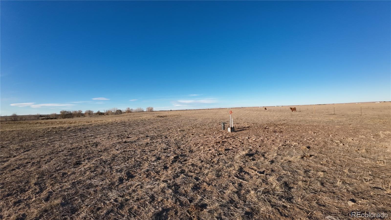 0 (Lot #18) CR 100, Nunn, CO 80648, ,Land,For Sale,CR 100,REC7071167