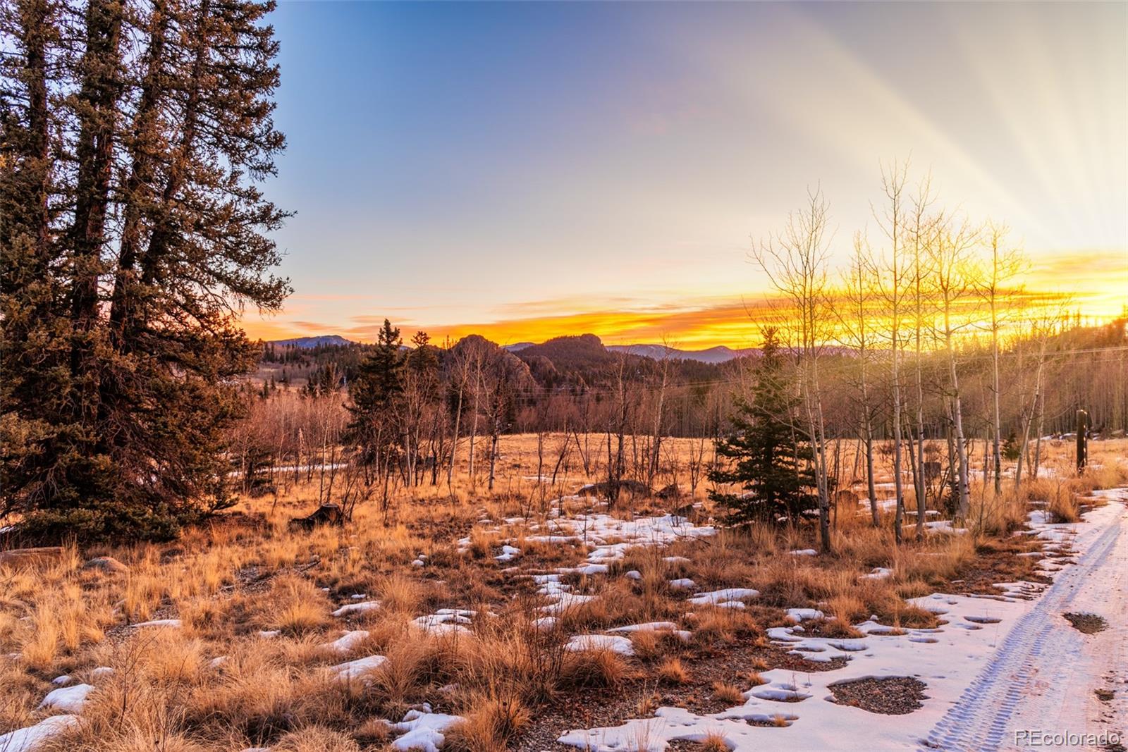 3557 Stagestop Road, Jefferson, CO 80456, 3 Bedrooms Bedrooms, ,2 BathroomsBathrooms,Residential,For Sale,Stagestop,REC7938426